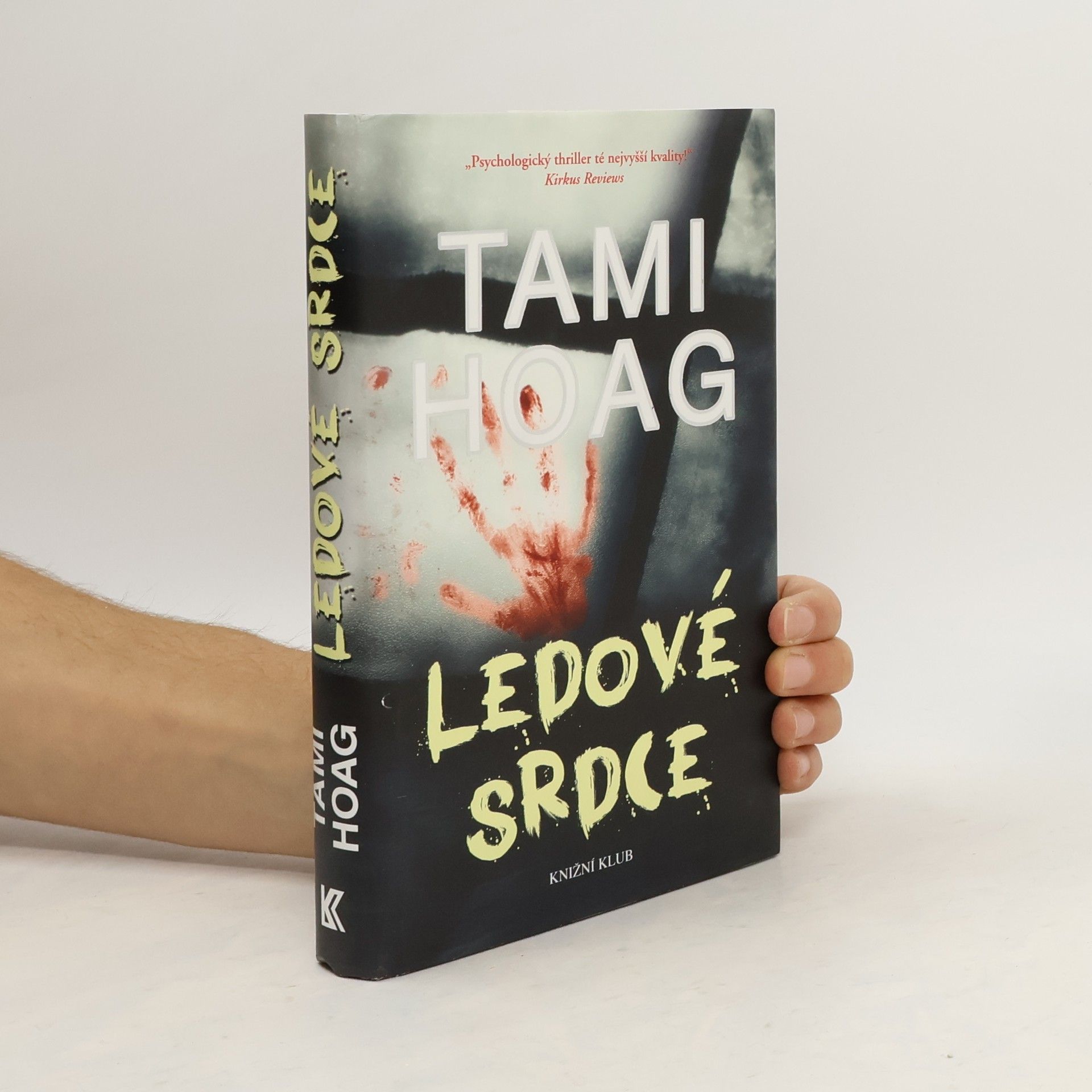 Tami Hoag Ledové srdce