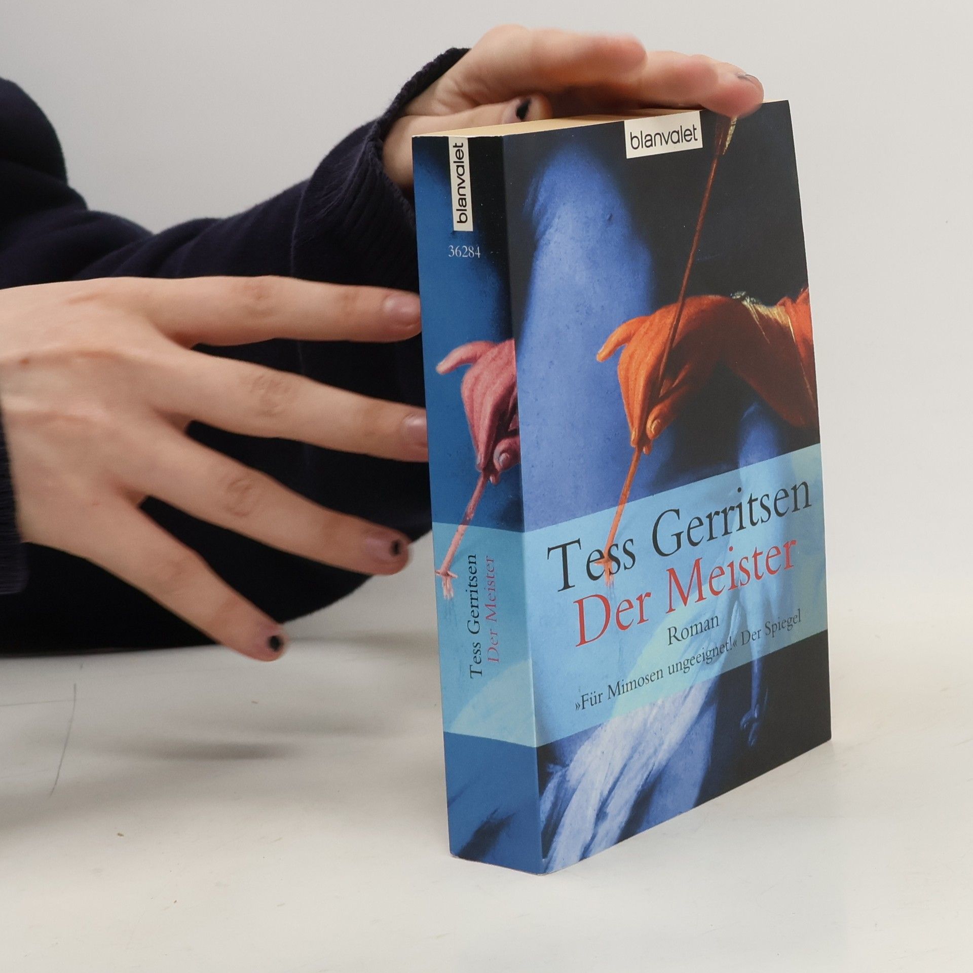 Tess Gerritsen Der Meister