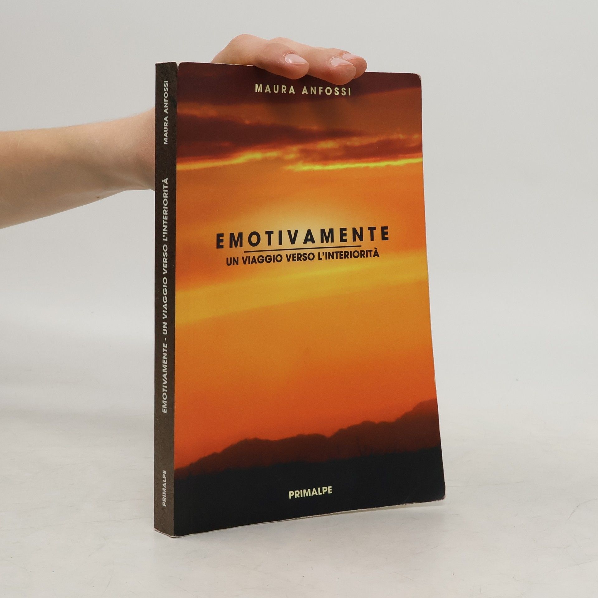 Maura Anfossi Emotivamente. Un viaggio verso l'interiorità