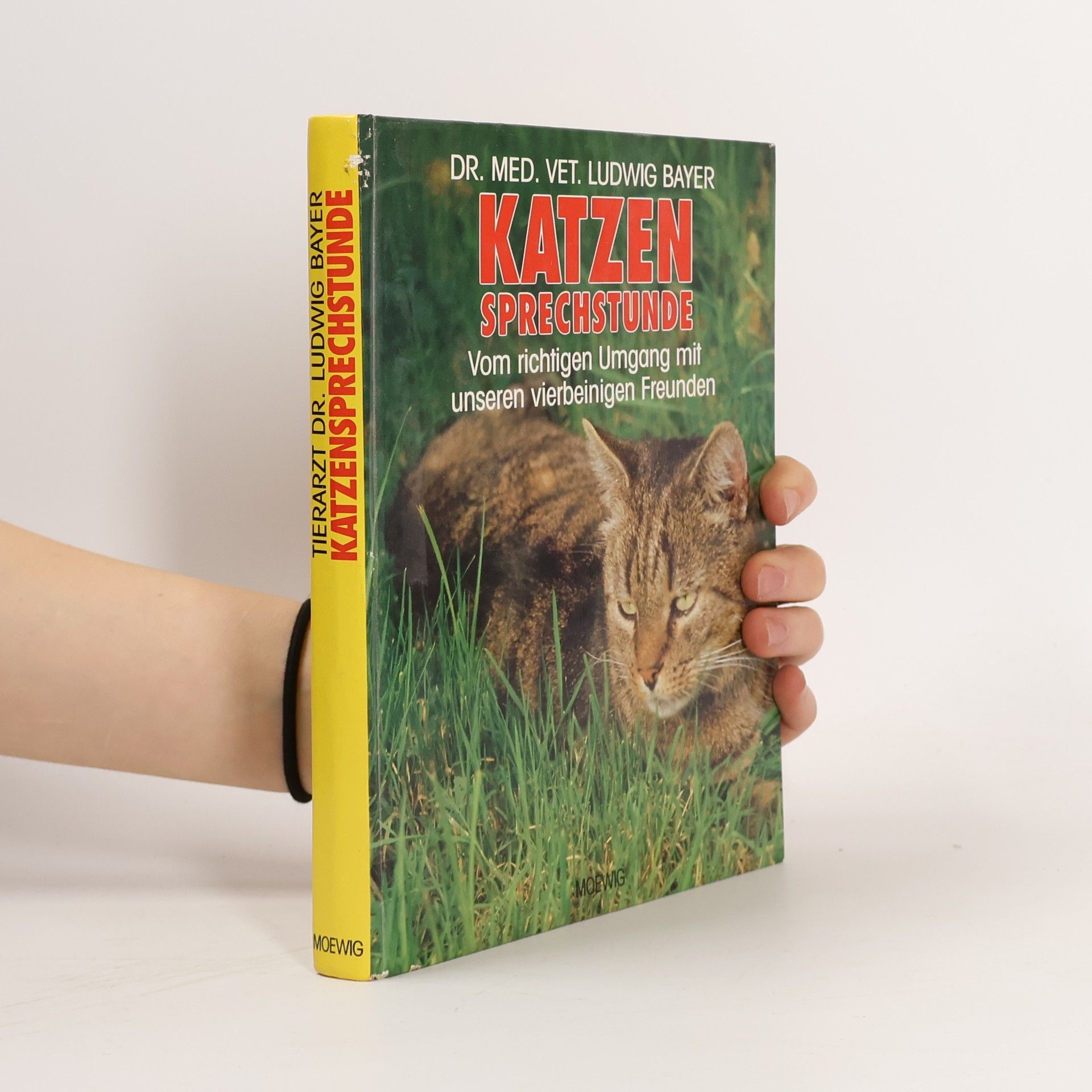 Ludwig Bayer Katzensprechstunde