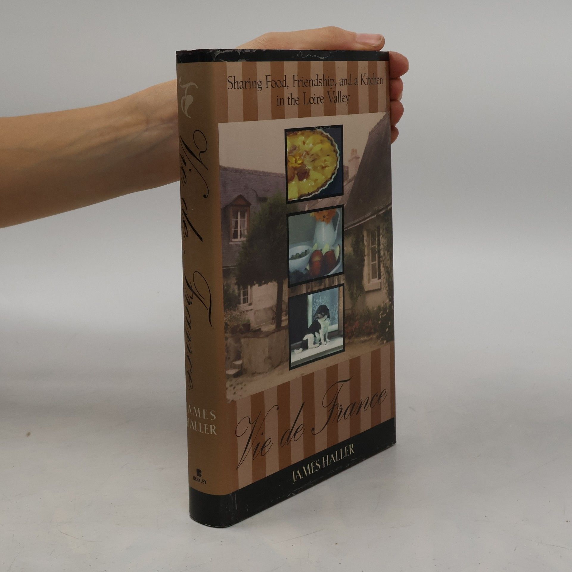 James Haller Vie de France