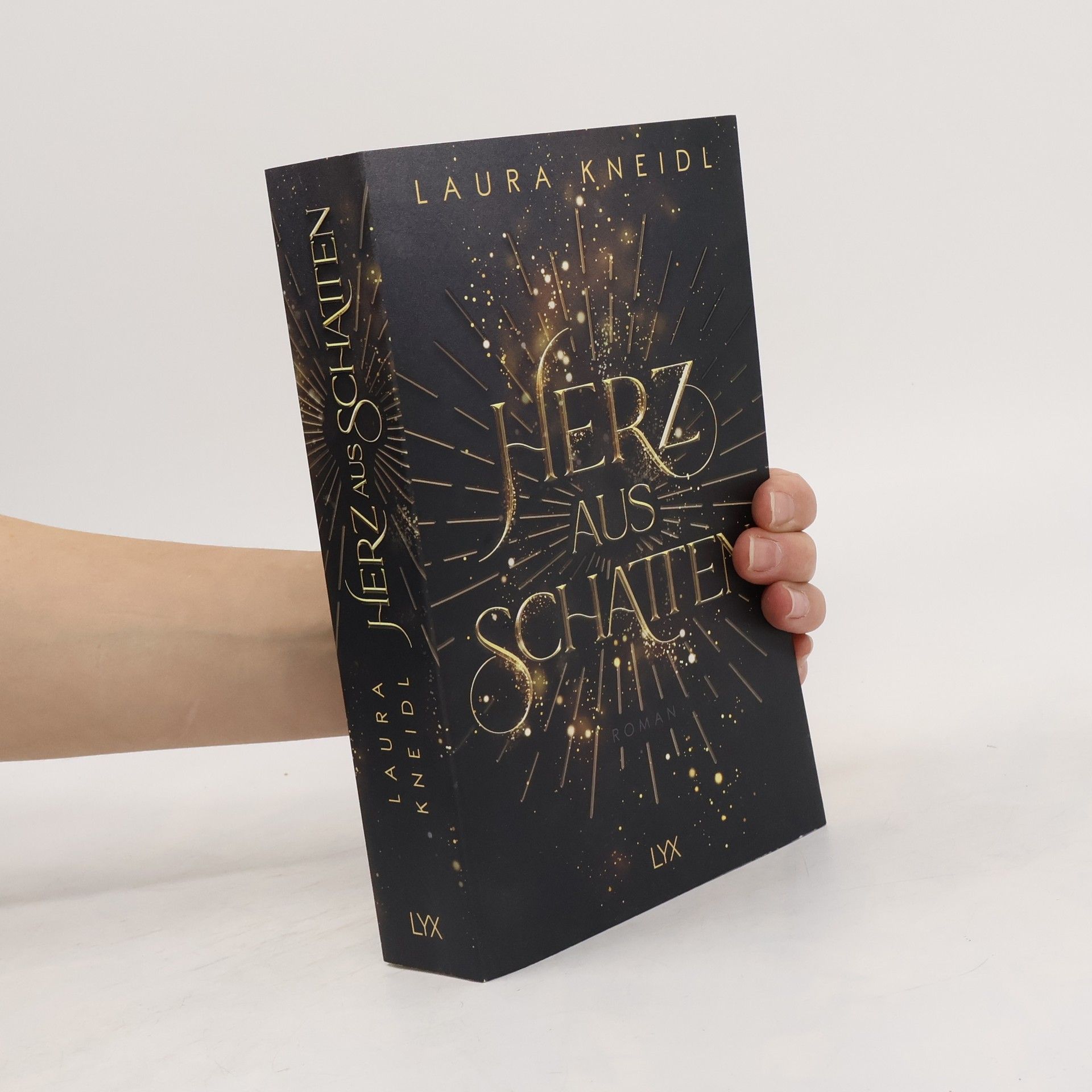 Laura Kneidl Herz aus Schatten