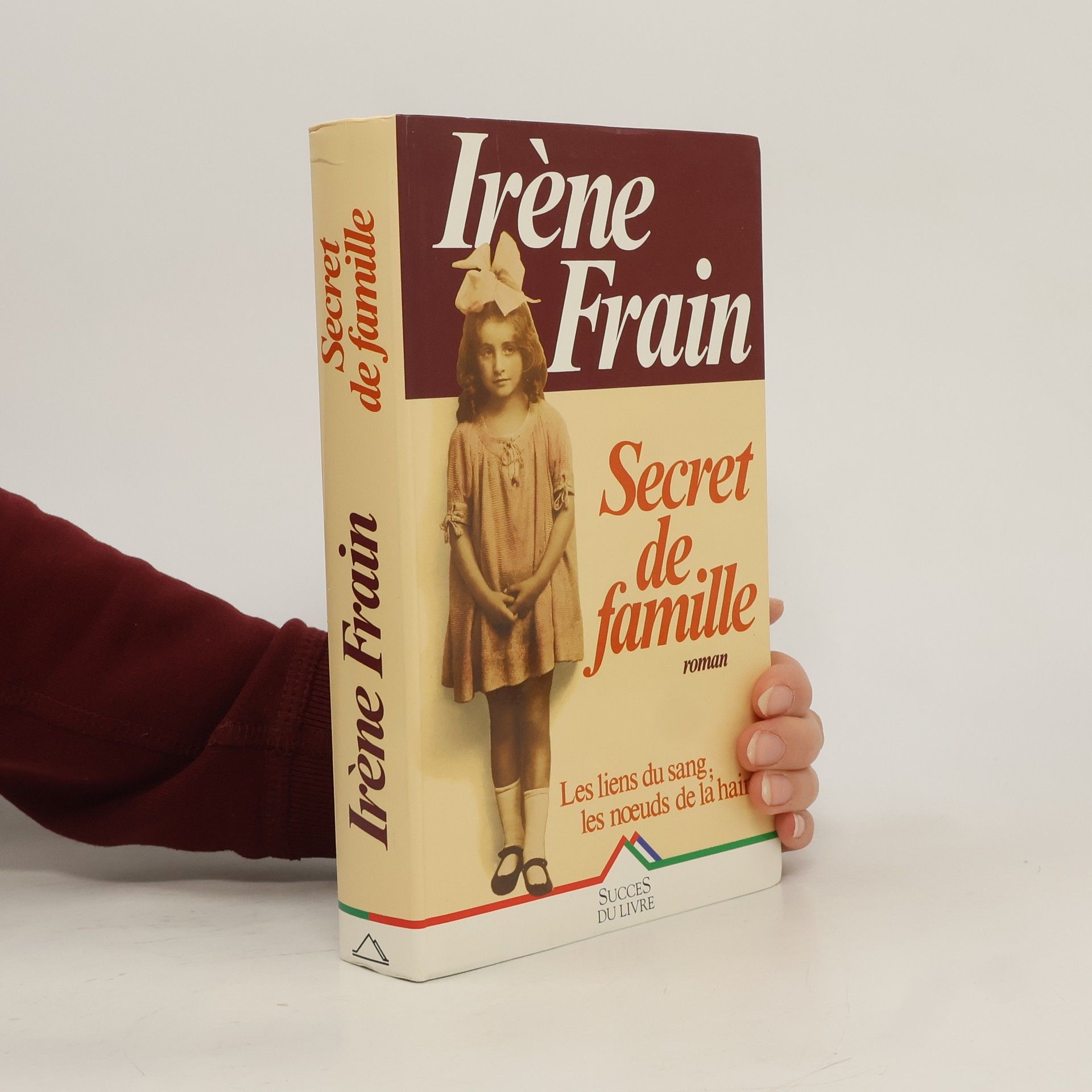 Irène Frain Le Secret De Famille