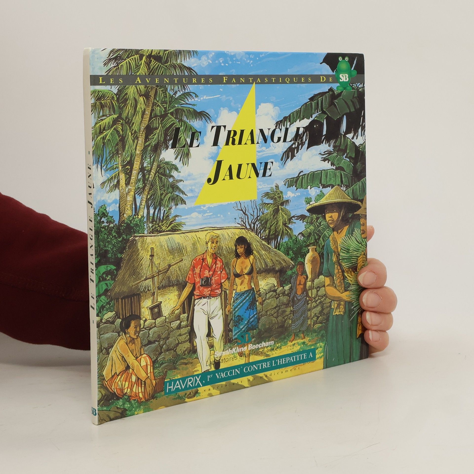 Collectif d'auteurs Le Triangle Jaune