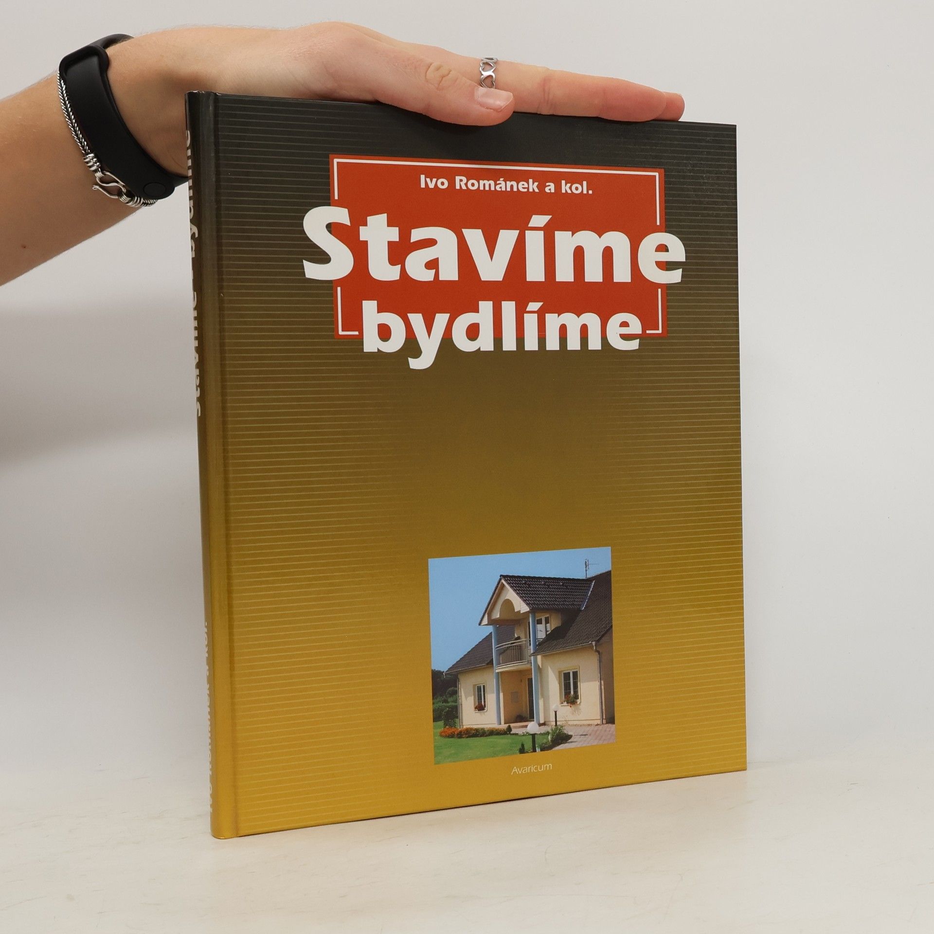 Ivo Románek Stavíme. Bydlíme