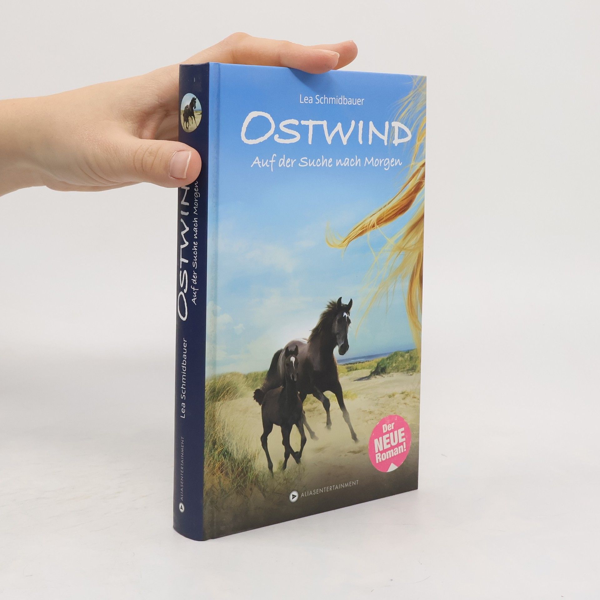 Lea Schmidbauer Ostwind - auf der Suche nach Morgen