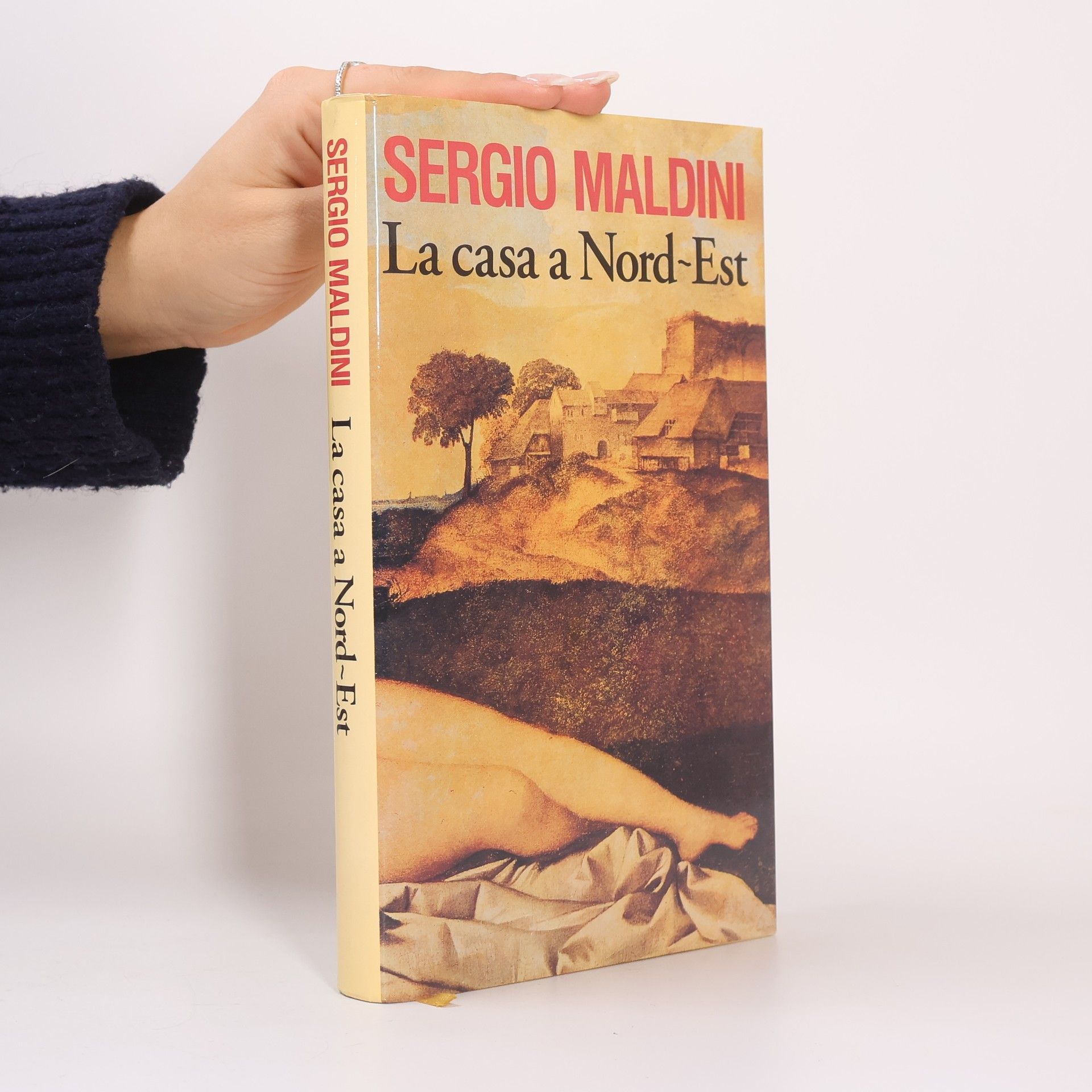 Sergio Maldini La casa a Nord-Est