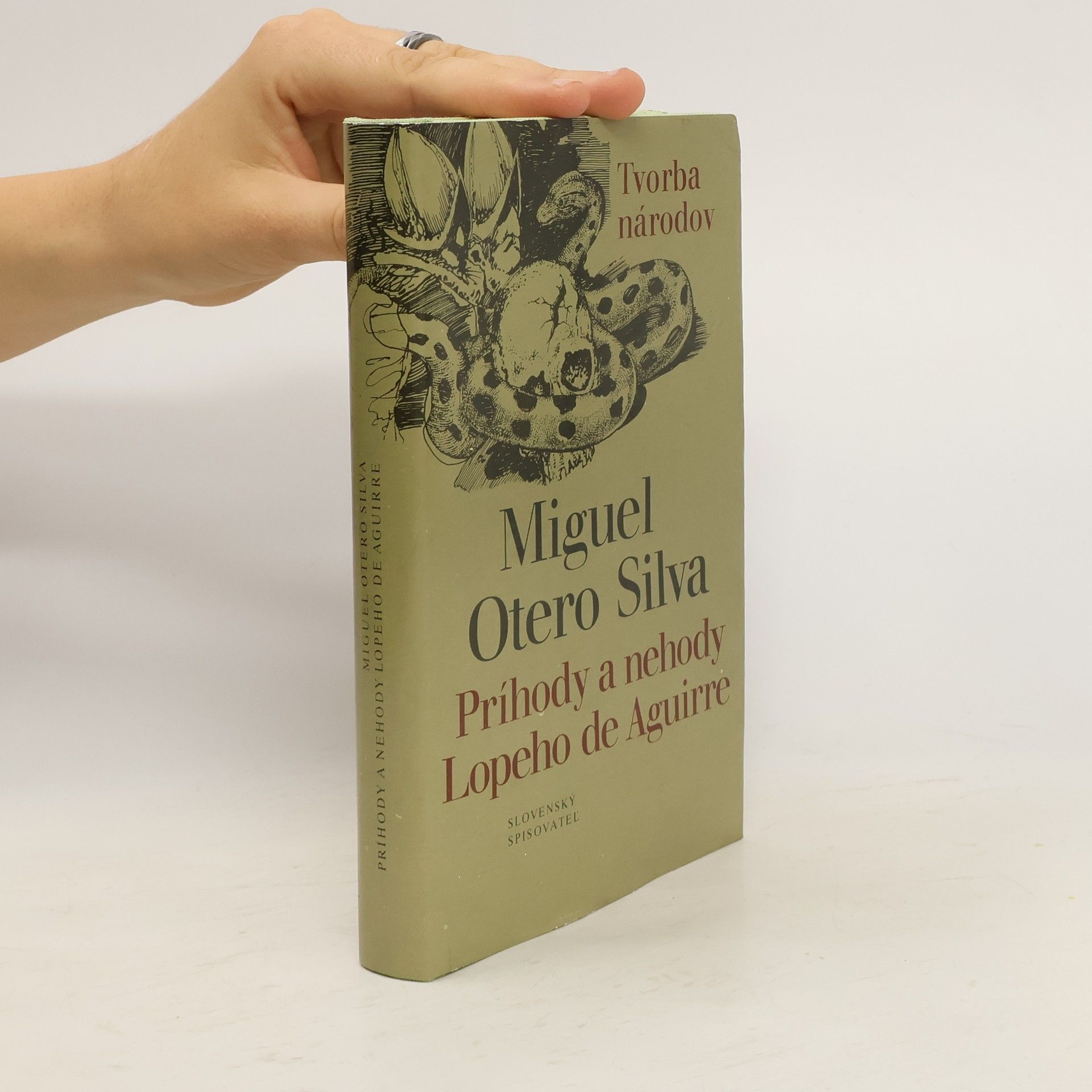 Príhody a nehody Lopeho de Aguirre