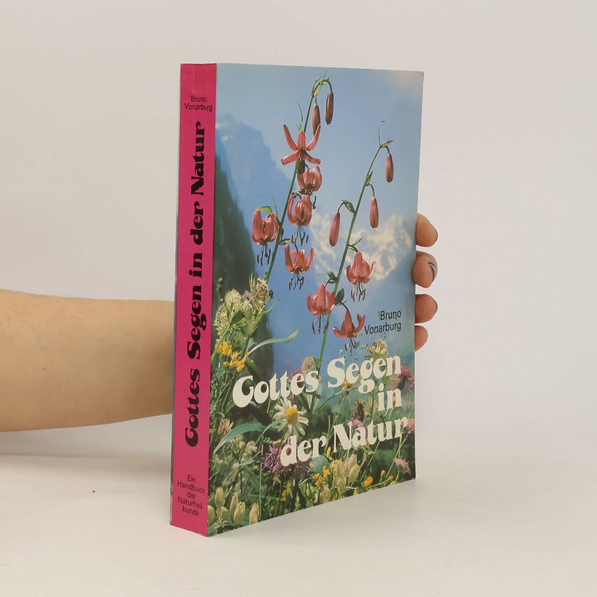 Bruno Vonarburg Gottes Segen in der Natur