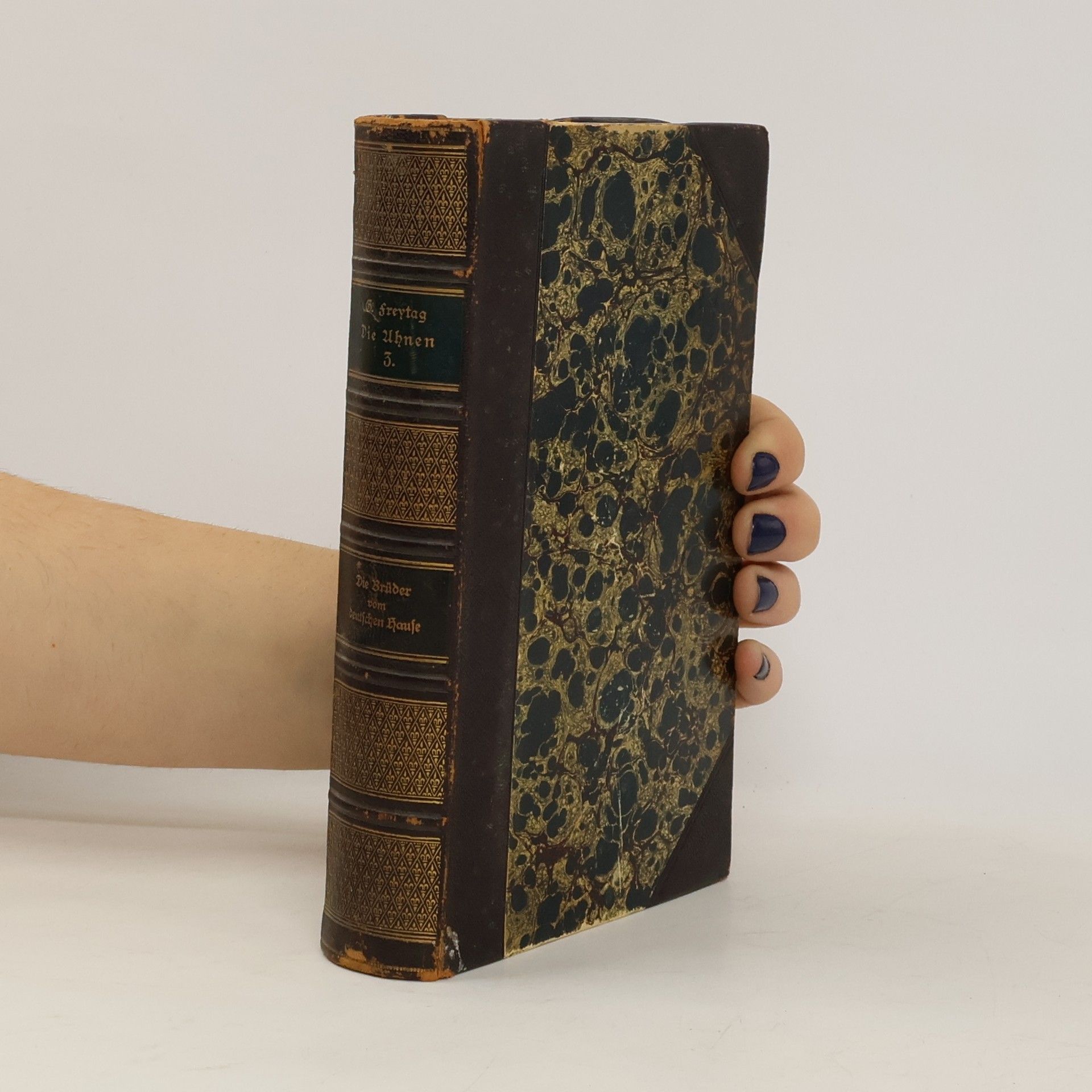 Gustav Freytag Die Ahnen III.