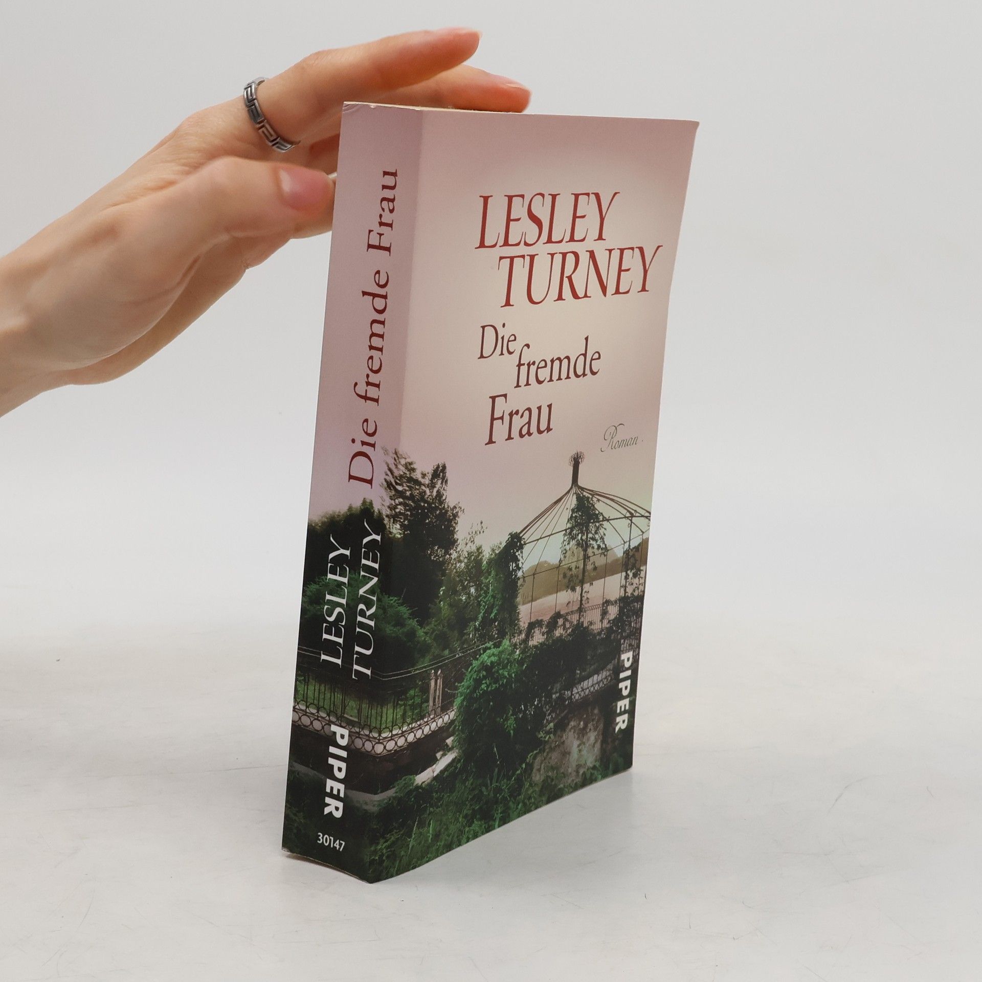 Lesley Turney Die fremde Frau
