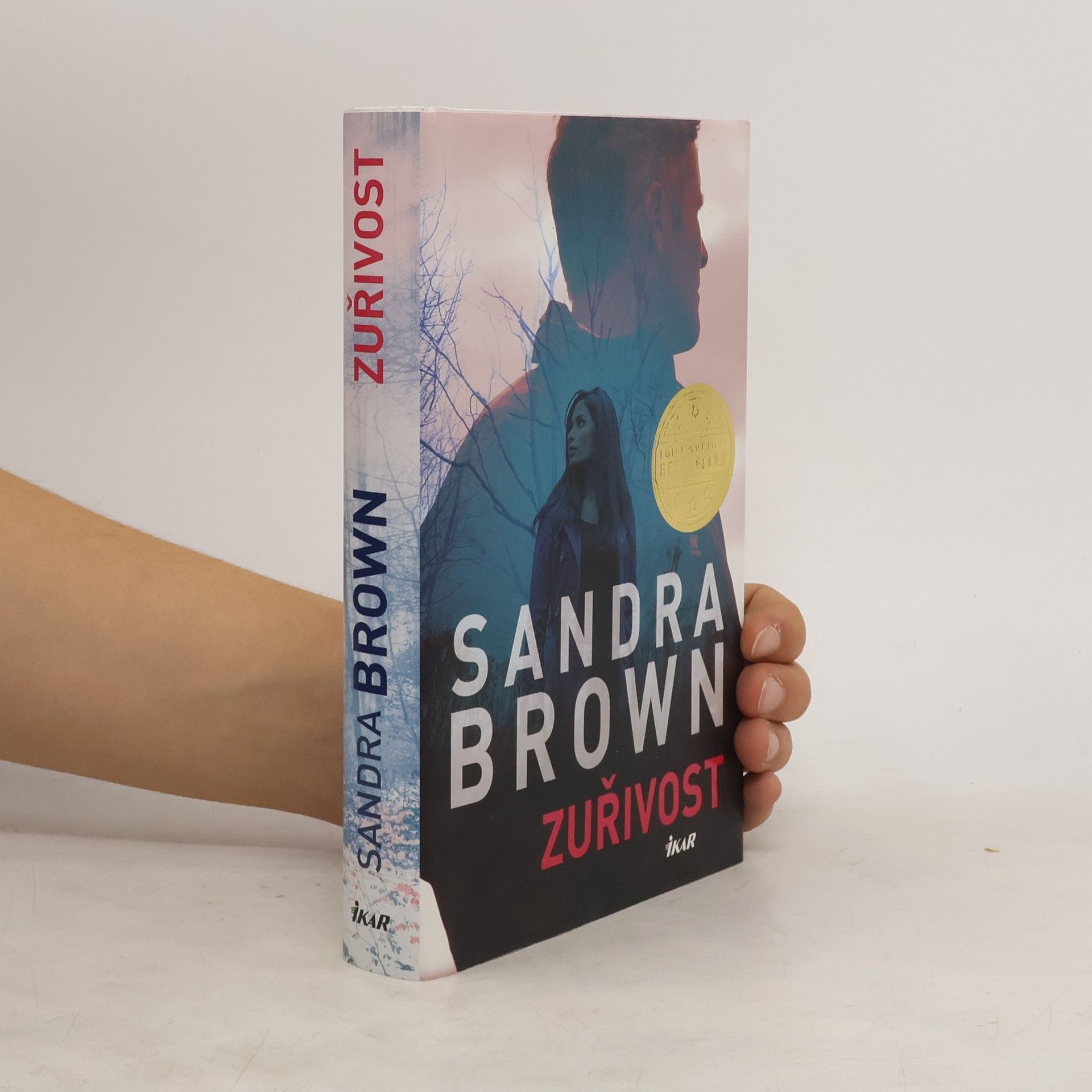 Sandra Brown Zuřivost