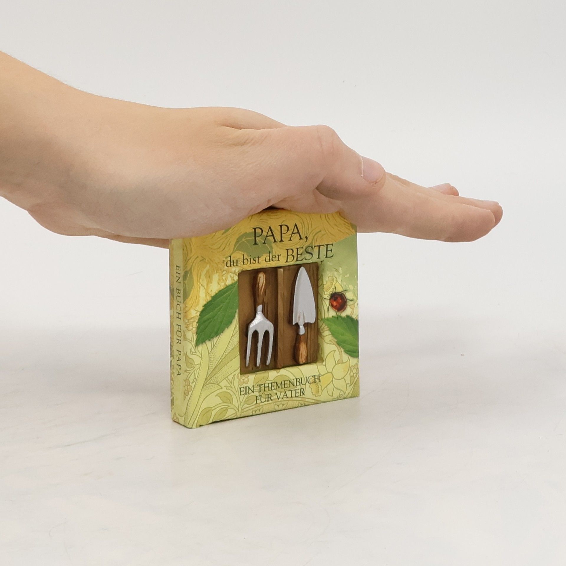 Autorenkollektiv Papa du bist der Beste