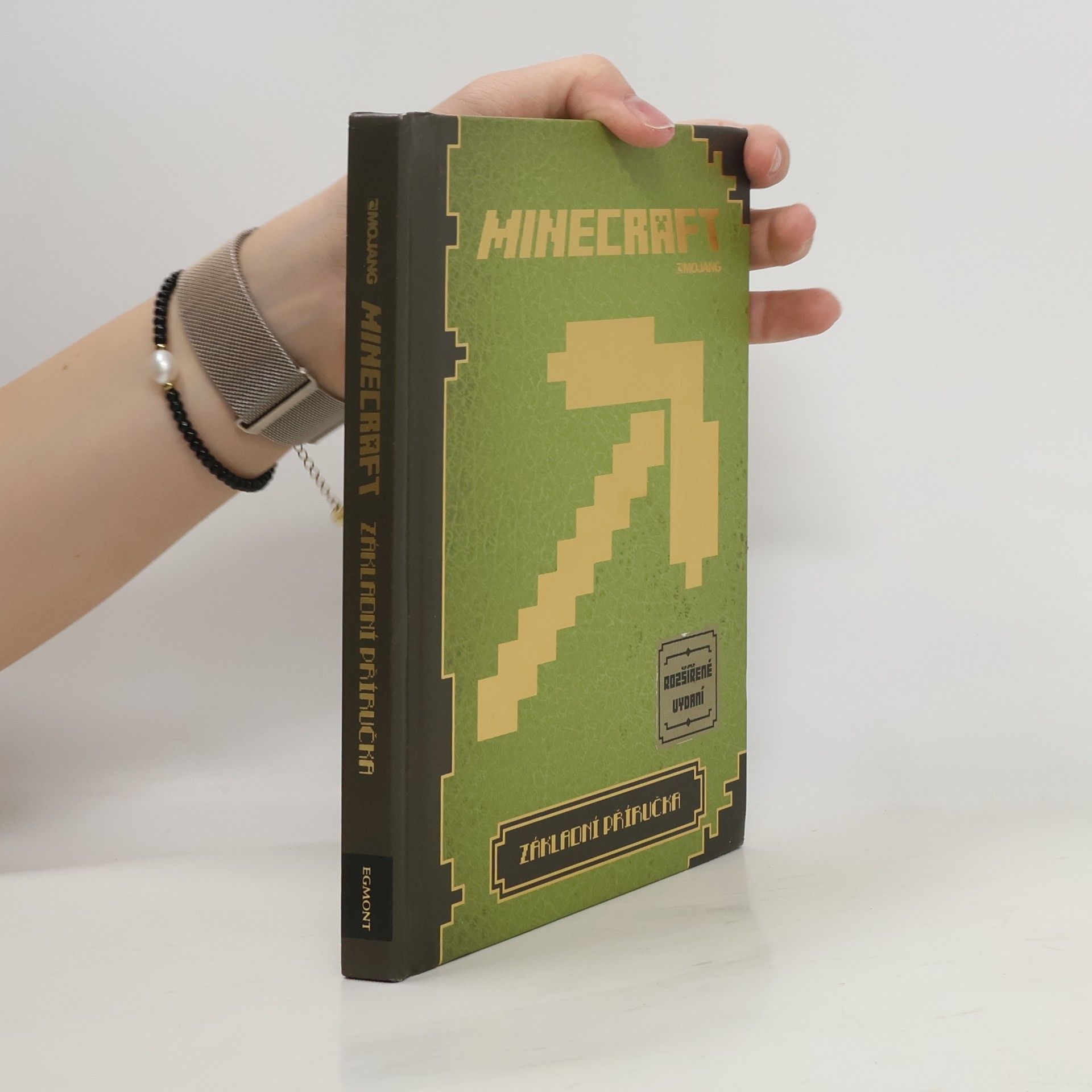 Matyáš Theodor Frydrych Minecraft