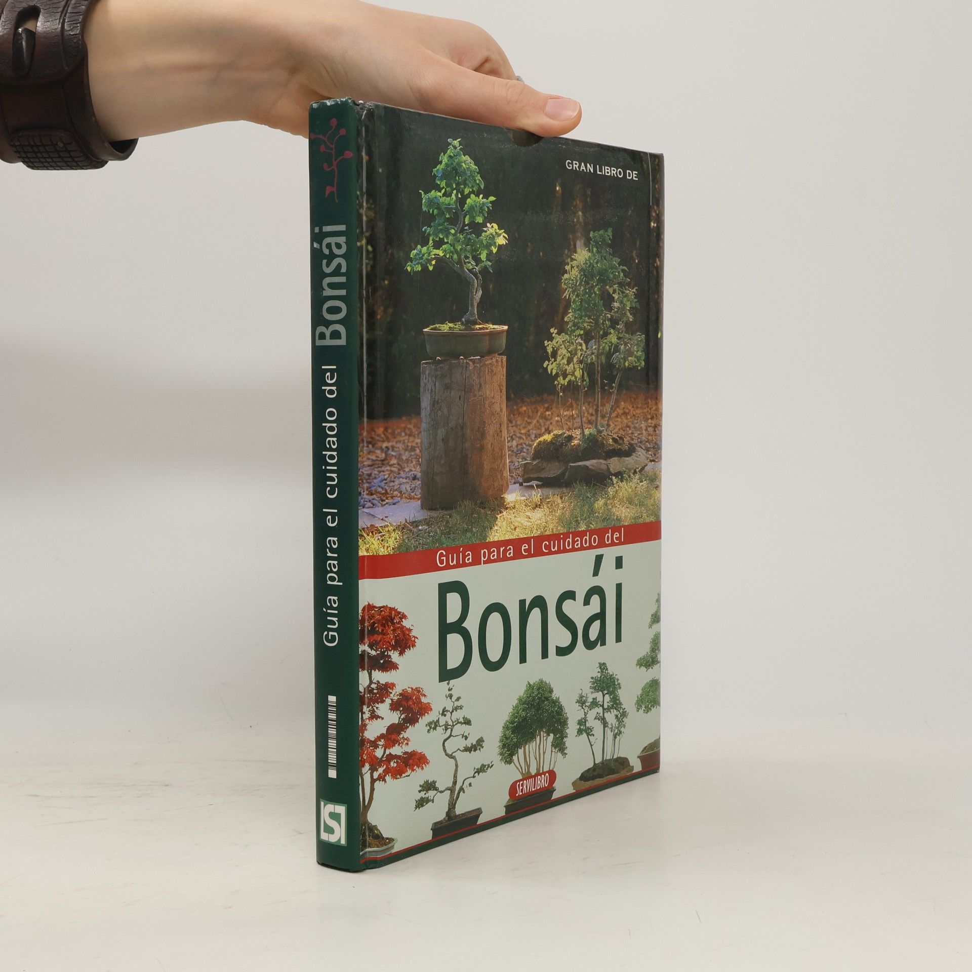 Susaeta Gran libro para el cuidado del bonsái