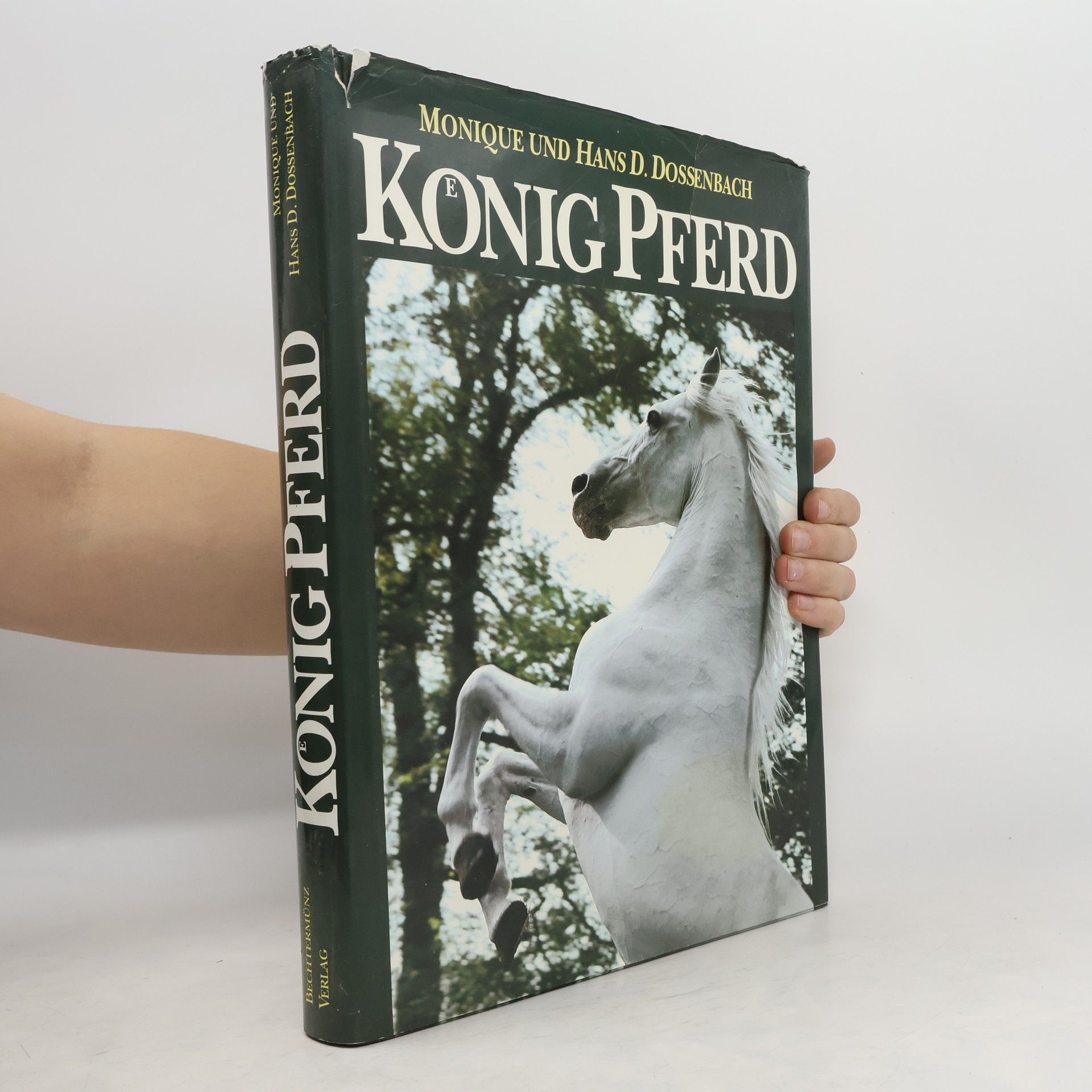 Monique Dossenbach König Pferd