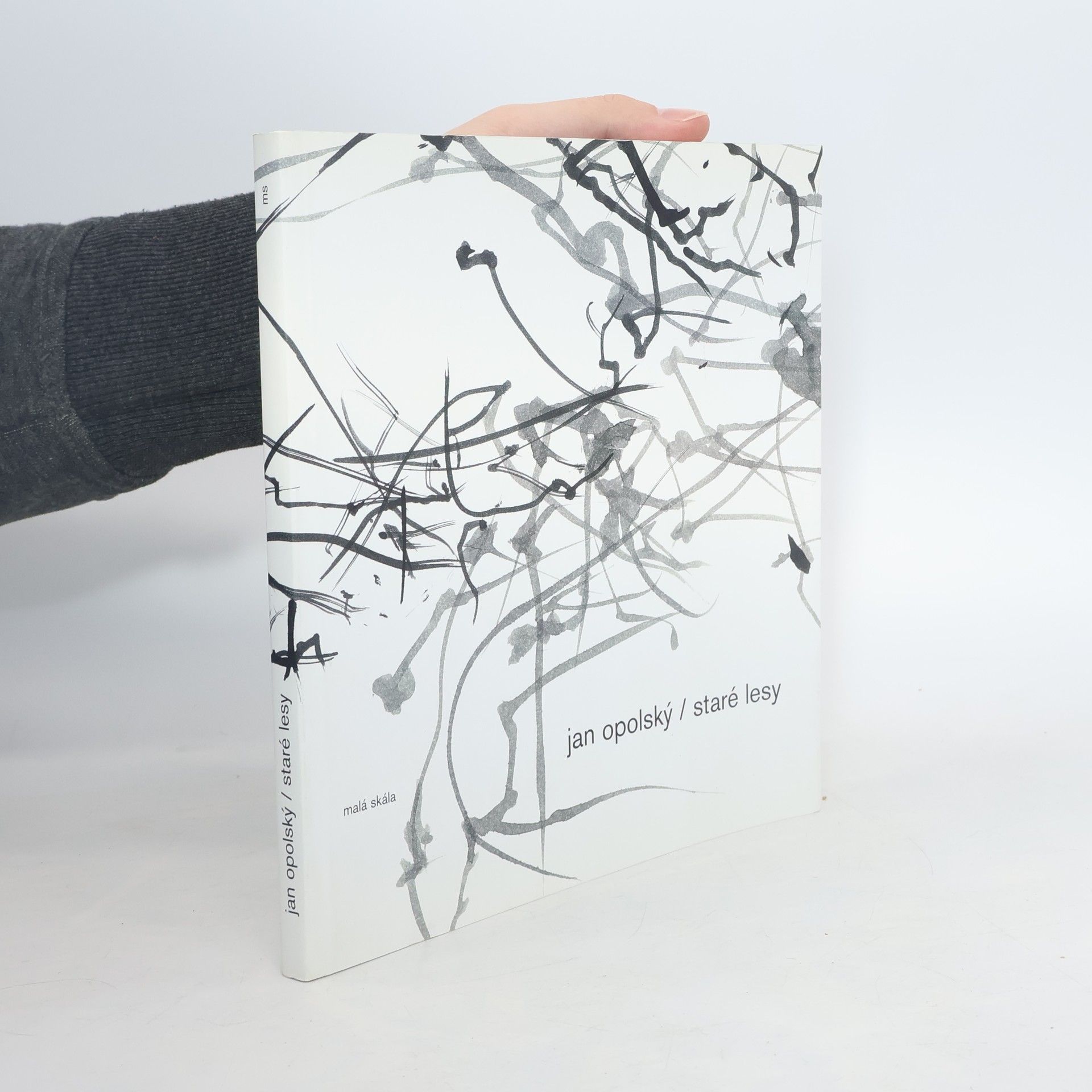 Jan Opolský Staré lesy