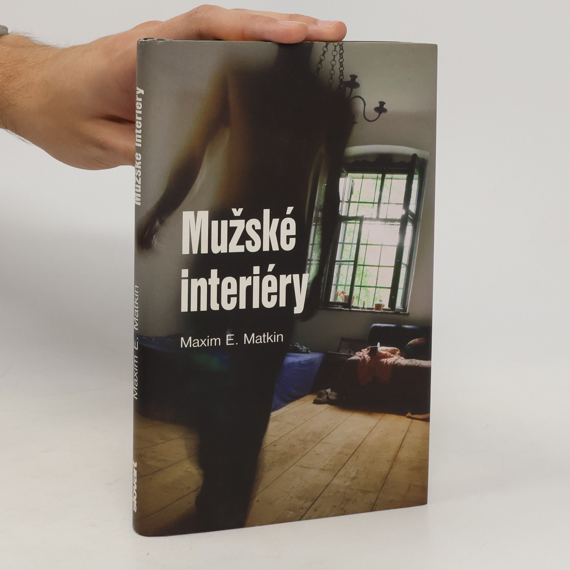 Mužské interiéry
