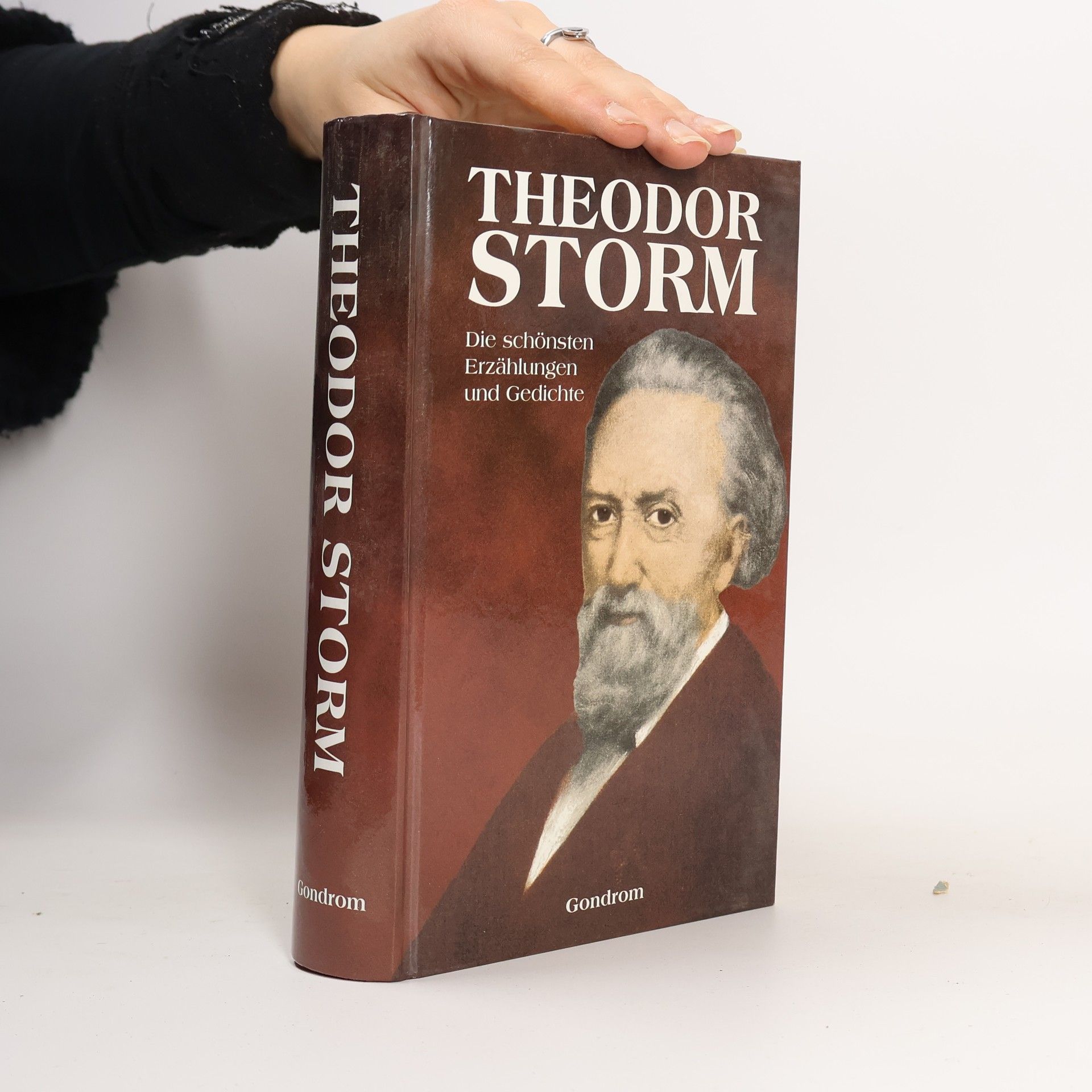 Theodor Storm Die schönsten Erzählungen und Gedichte