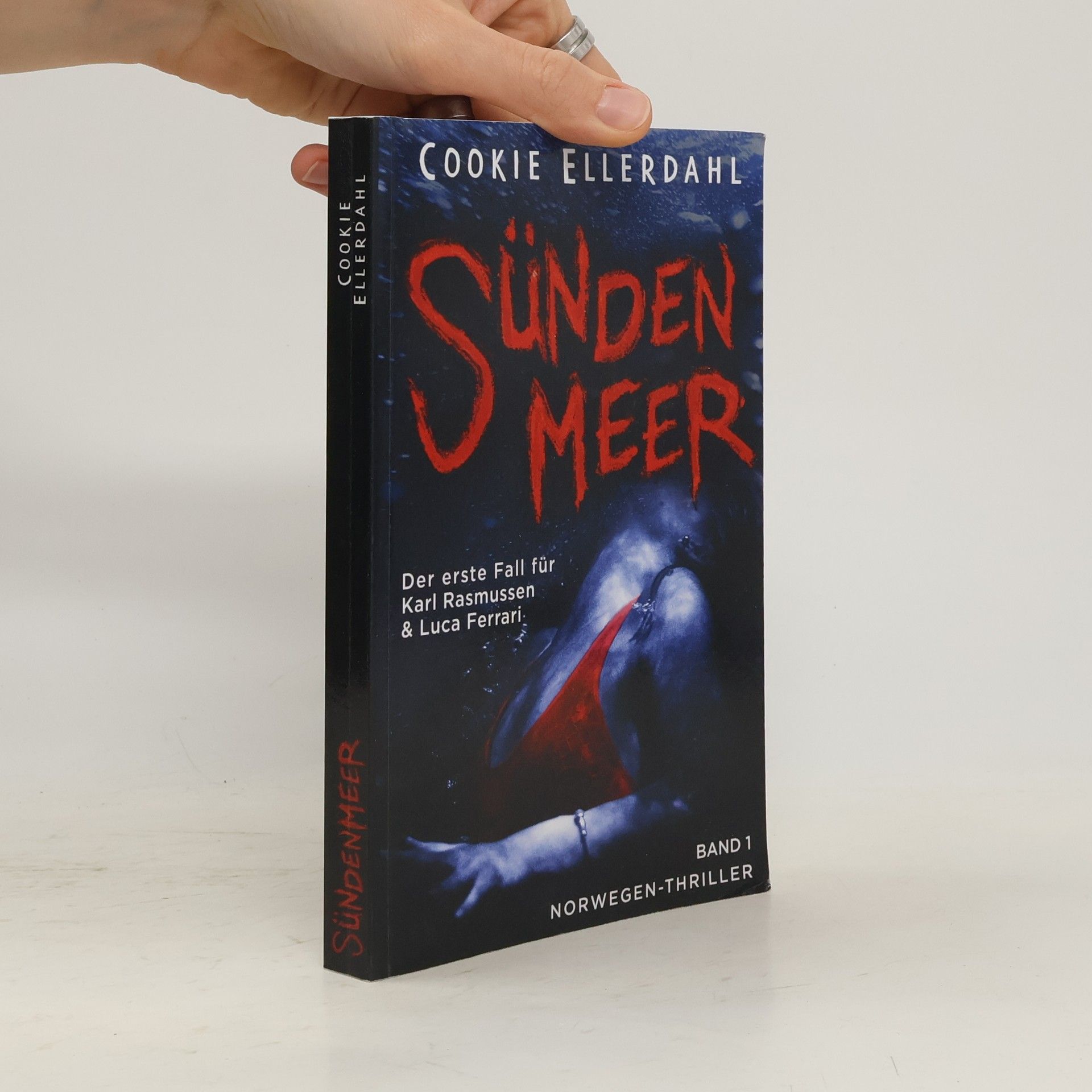 Cookie Ellerdahl Sündenmeer