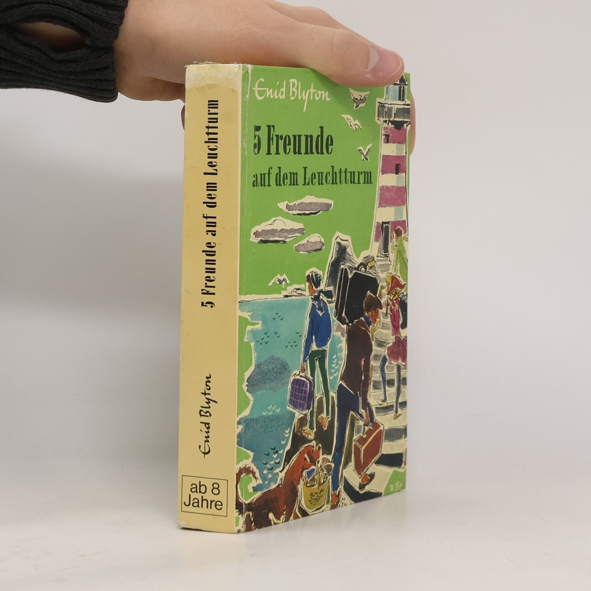 Enid Blyton 5 Freunde auf dem Leuchtturm