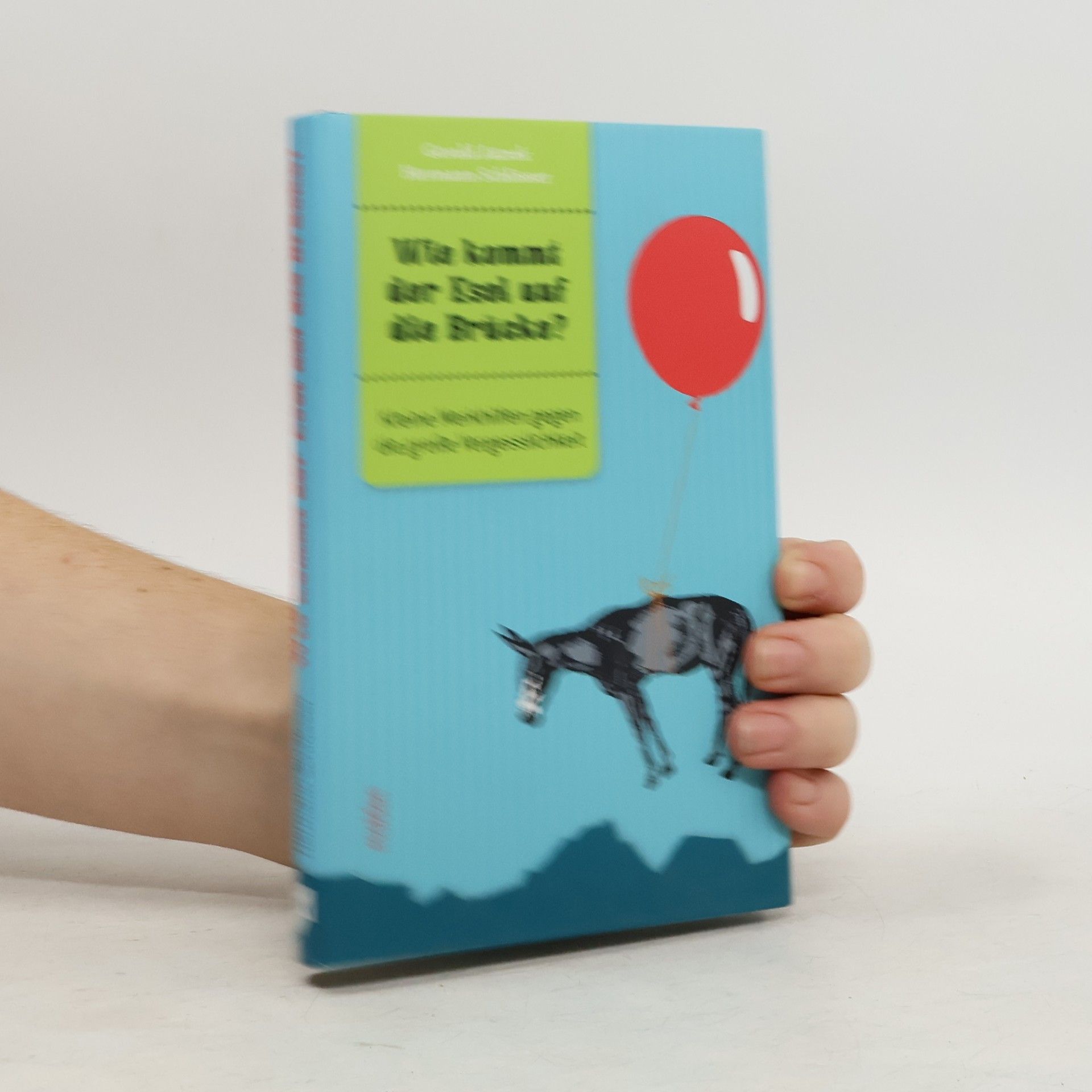 Hermann Schlösser Wie kommt der Esel auf die Brücke?