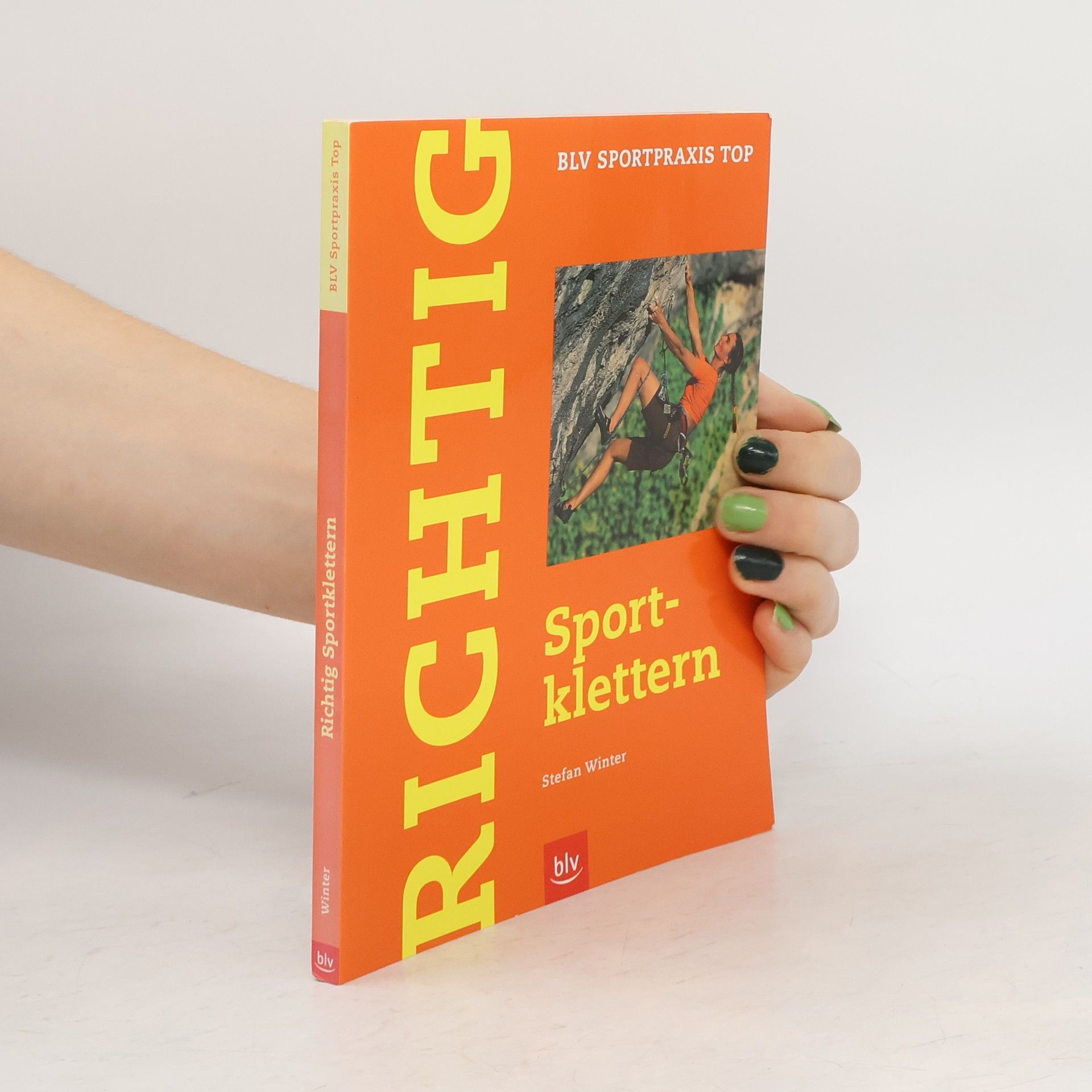 Stefan Winter Richtig Sportklettern