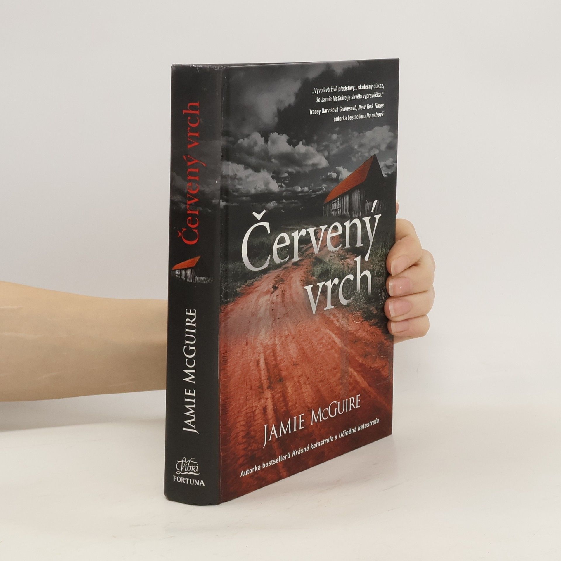 Jamie McGuire Červený vrch