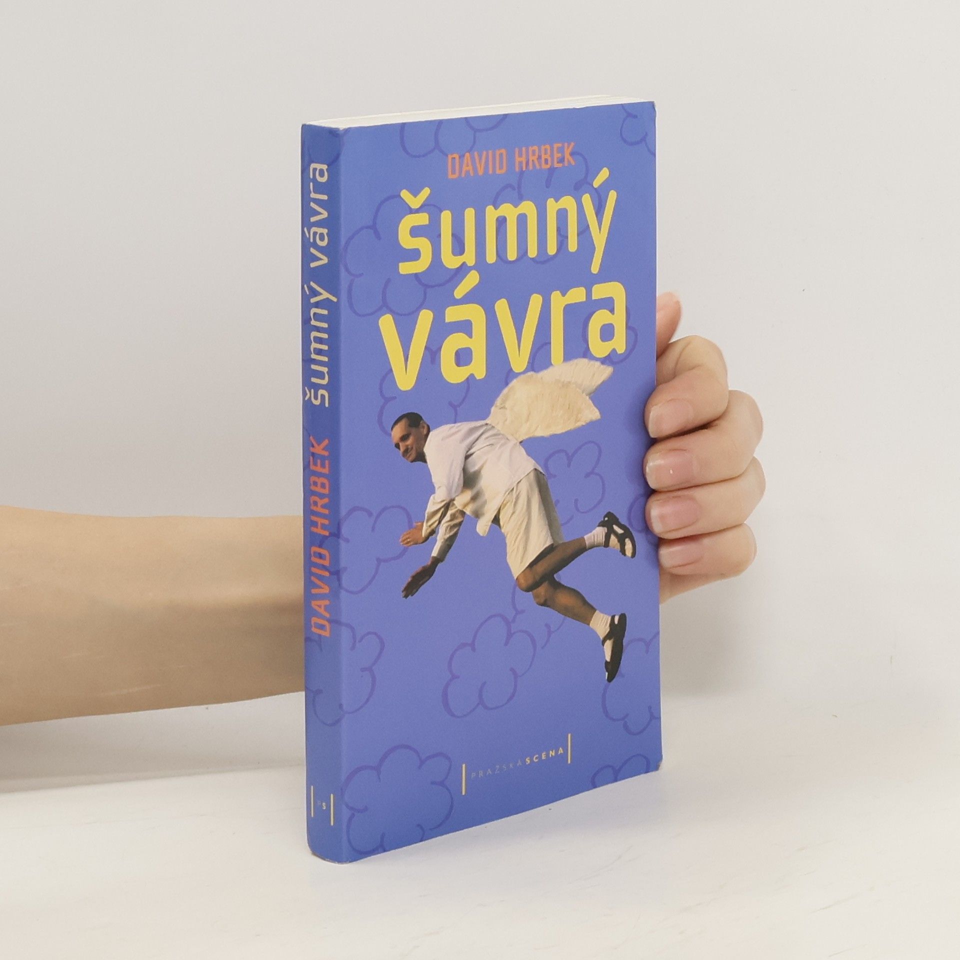 David Hrbek Šumný Vávra