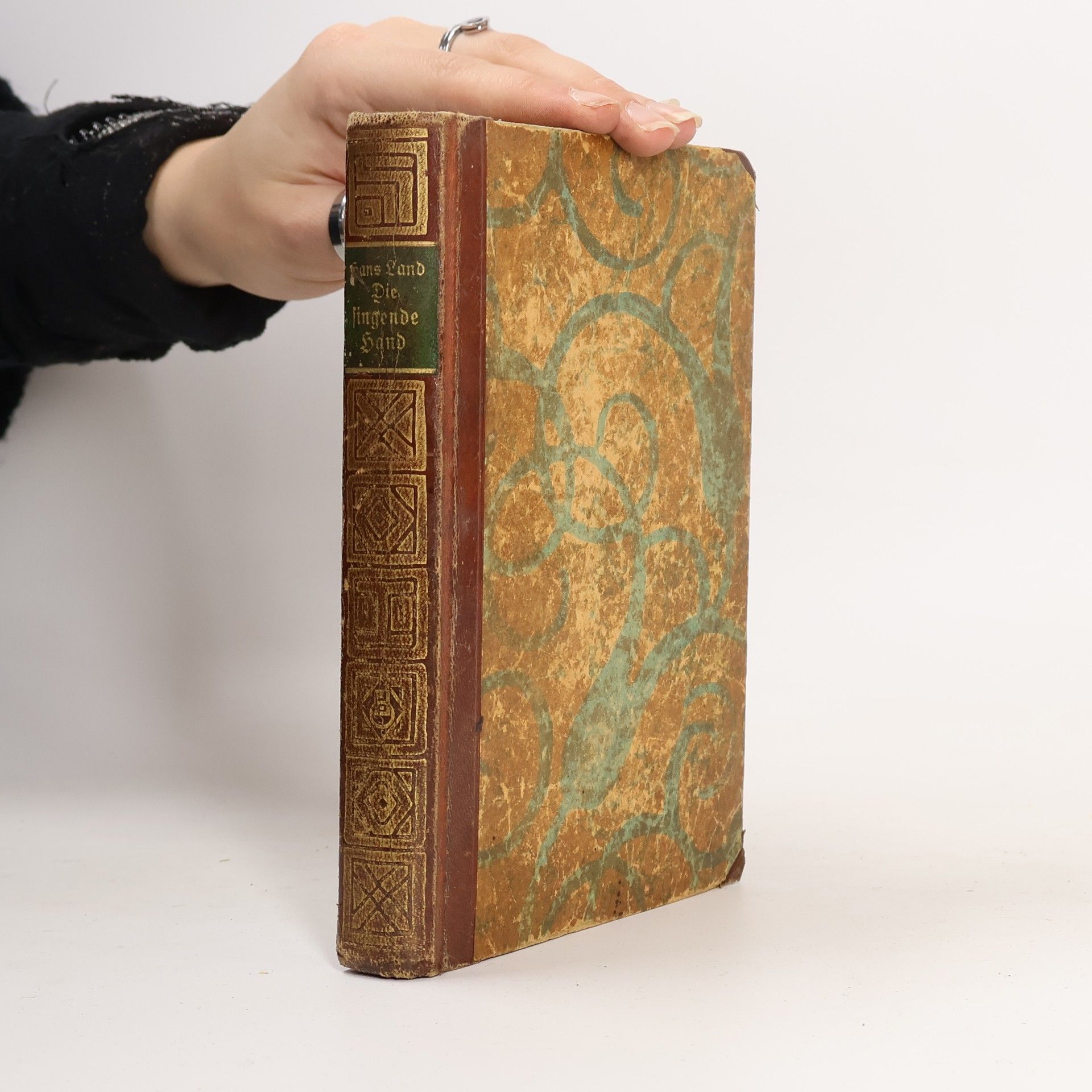 Hans Land Die singende Hand