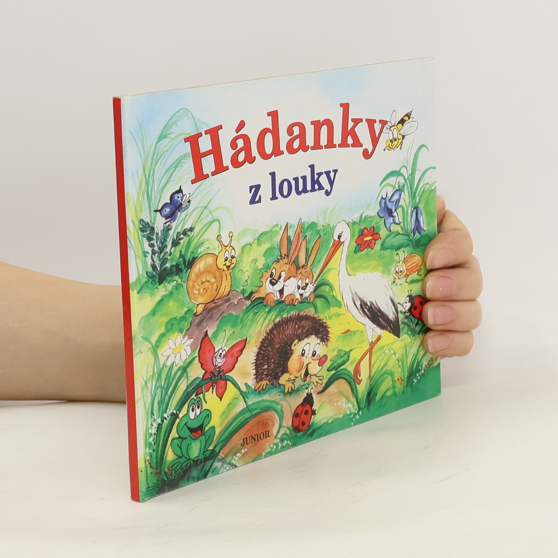 Zuzana Pospíšilová Hádanky z louky