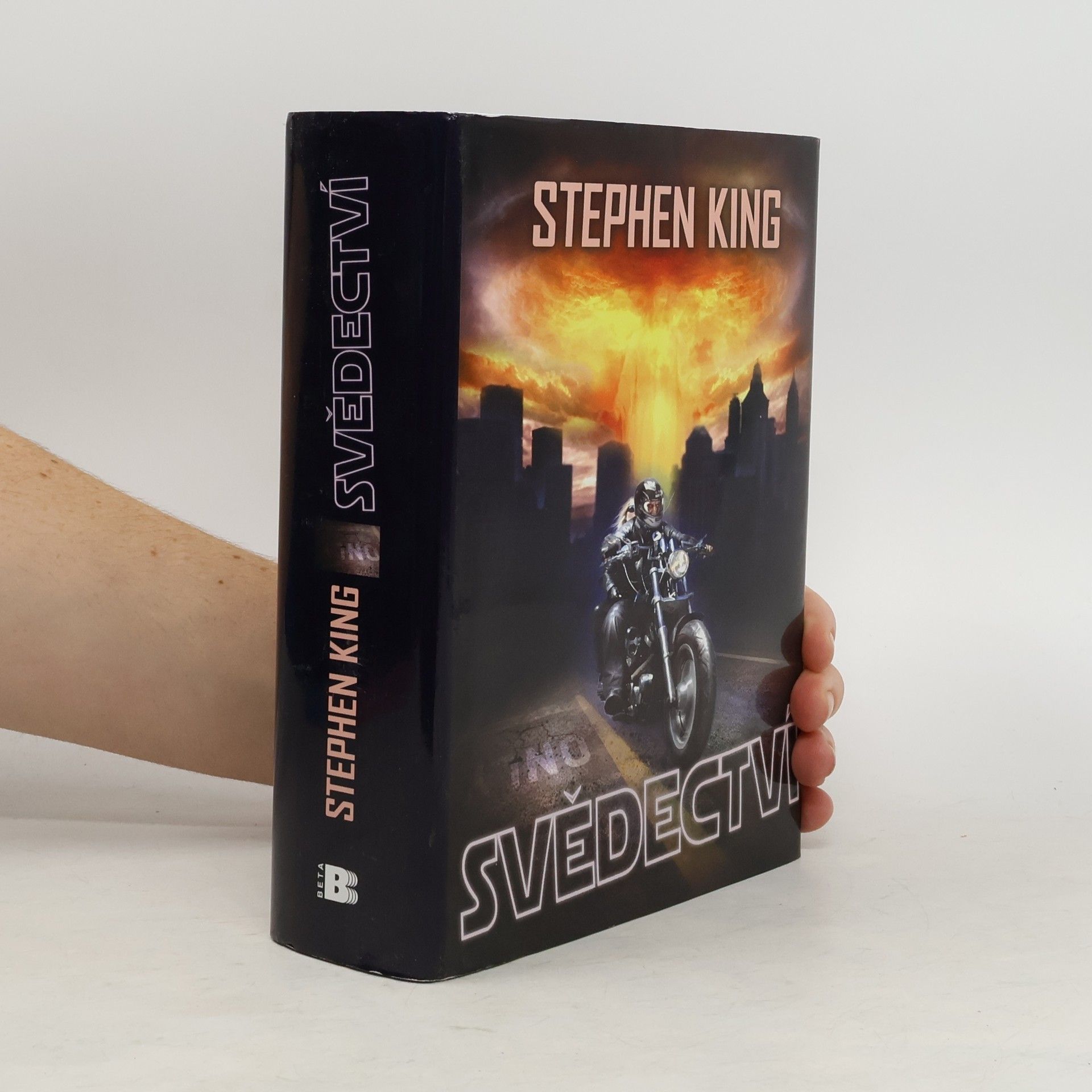 Stephen King Svědectví