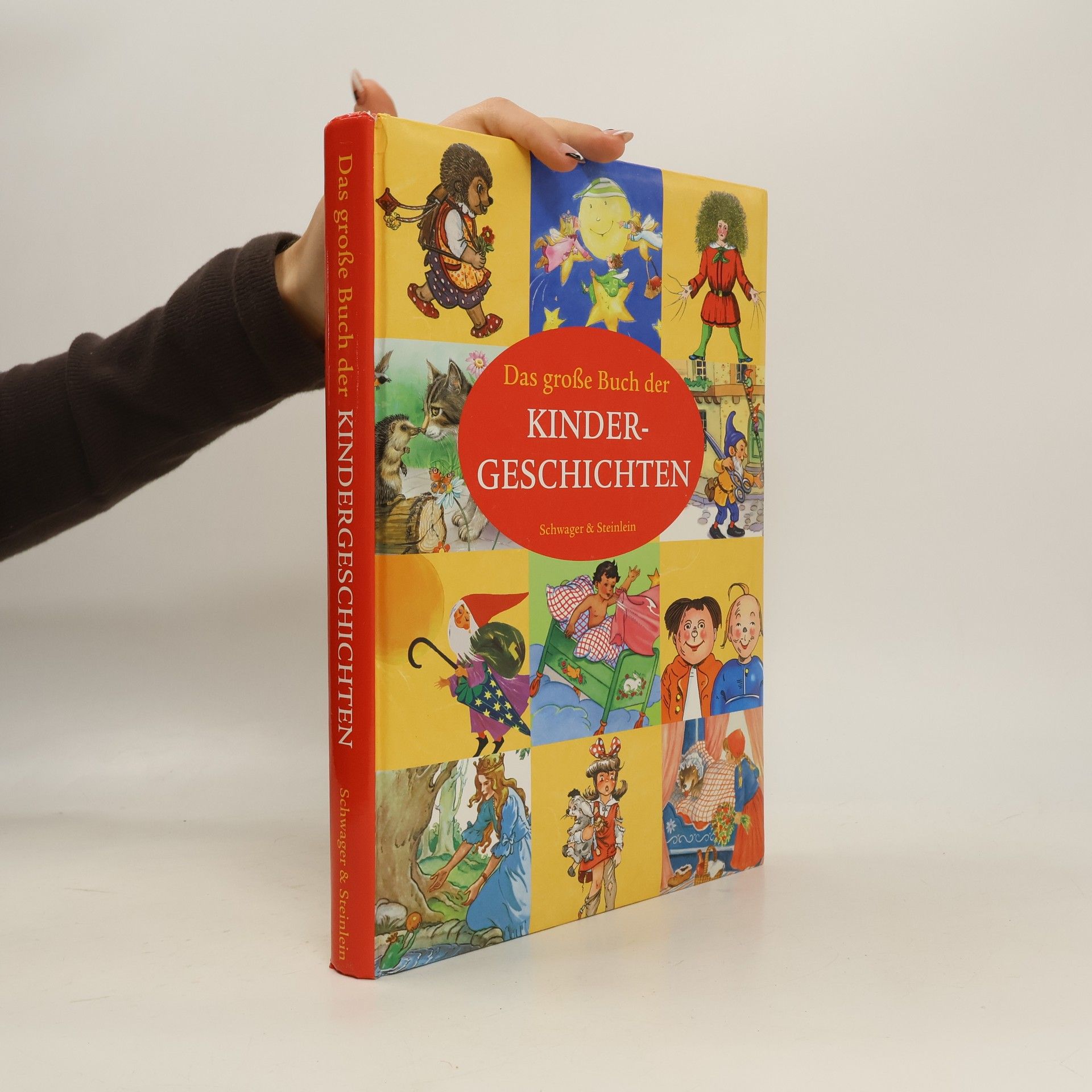 Various authors Das grosse Buch der Kindergeschichten