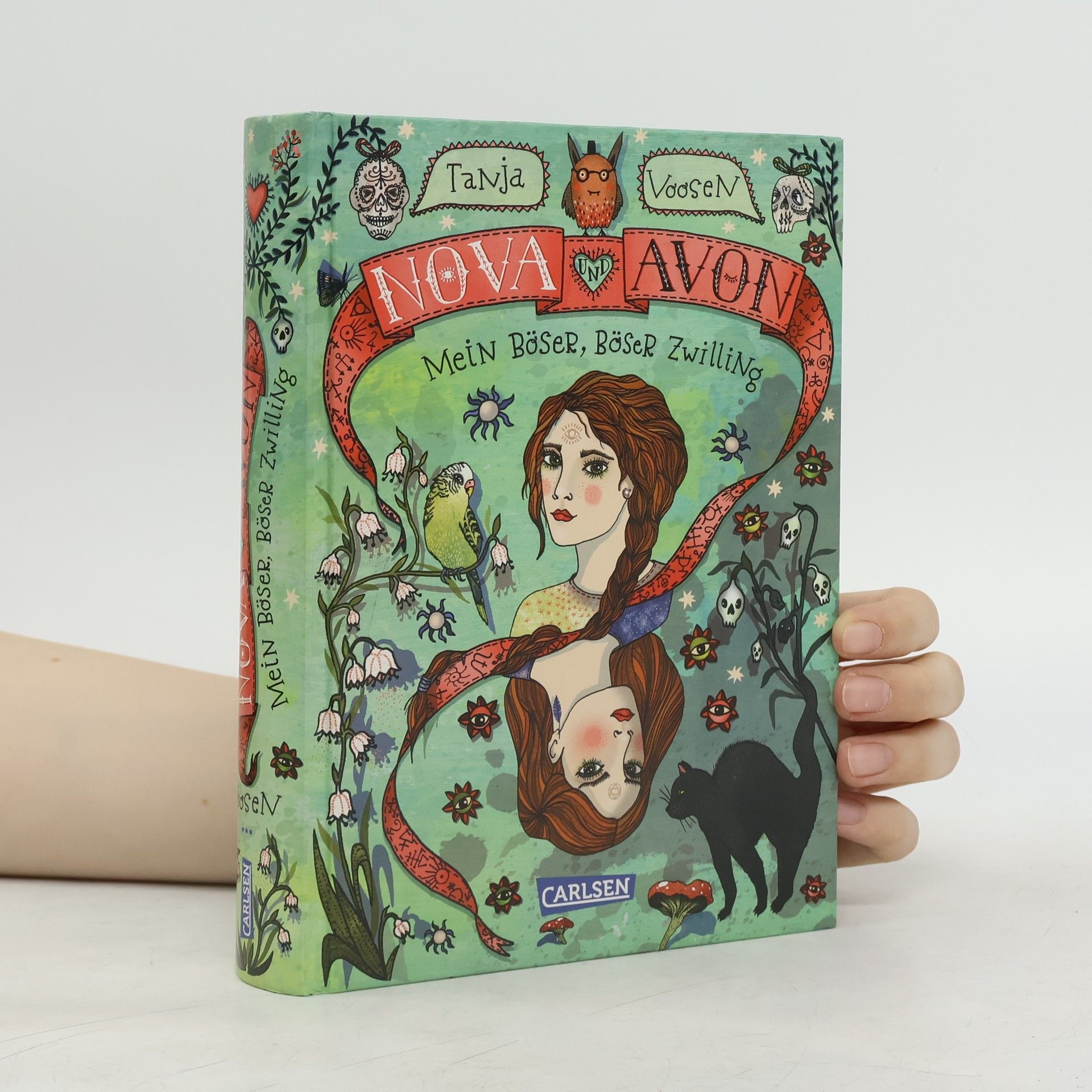 Tanja Voosen Mein böser, böser Zwilling