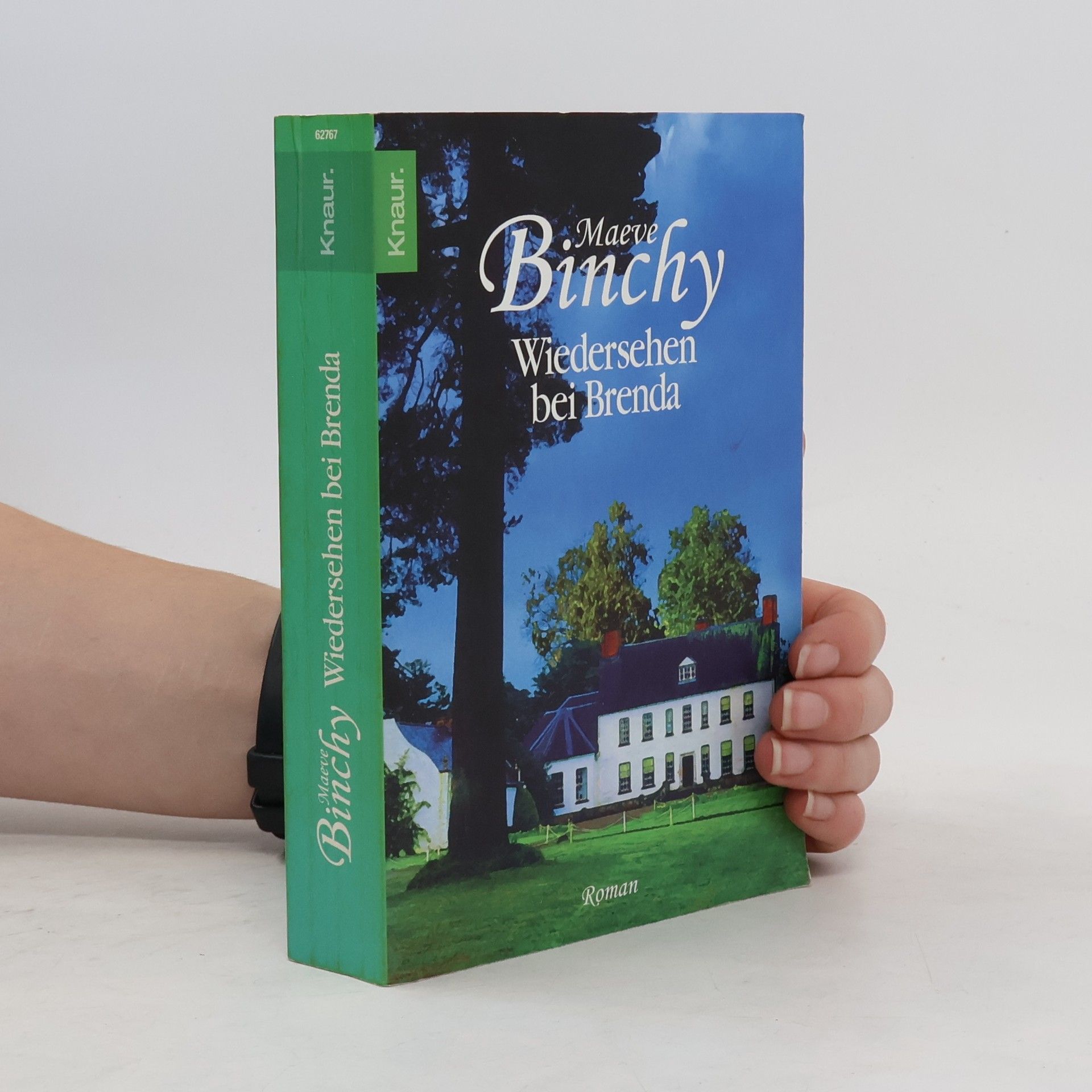 Maeve Binchy Wiedersehen bei Brenda