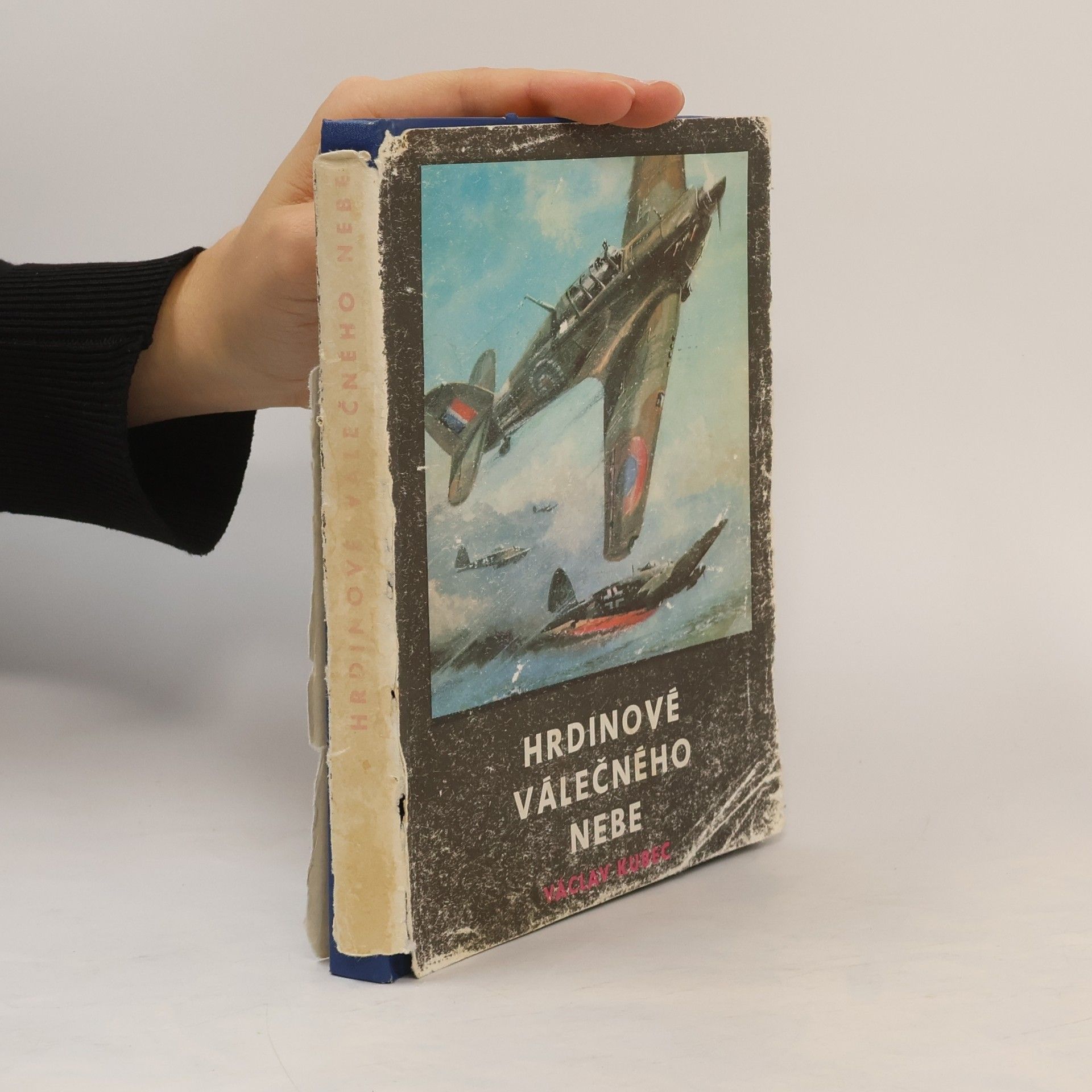 Václav Kubec Hrdinové válečného nebe