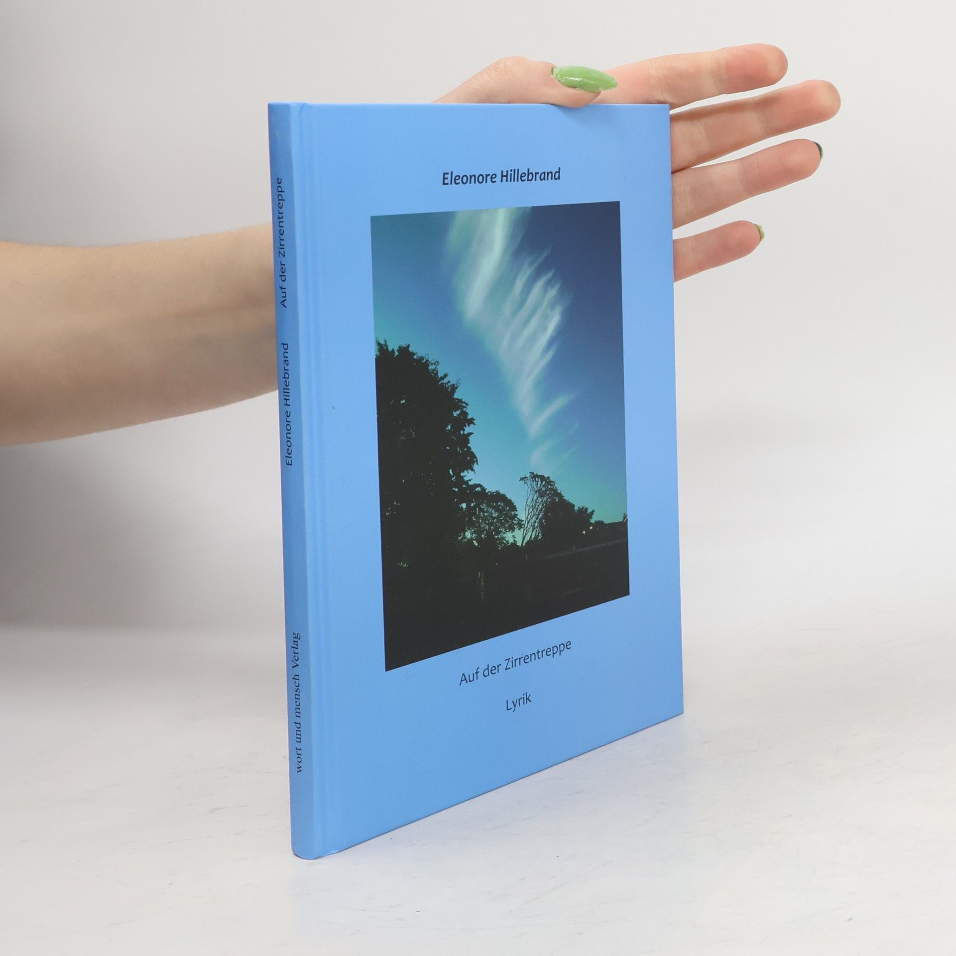 Auf der Zirrentreppe. Lyrik