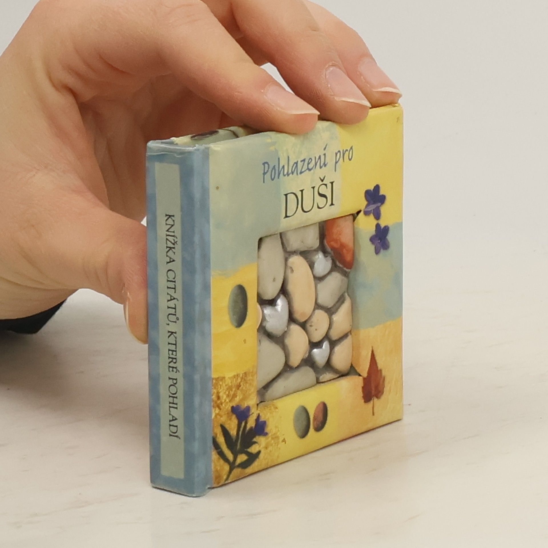 Collectif d'auteurs Pohlazení pro Duši