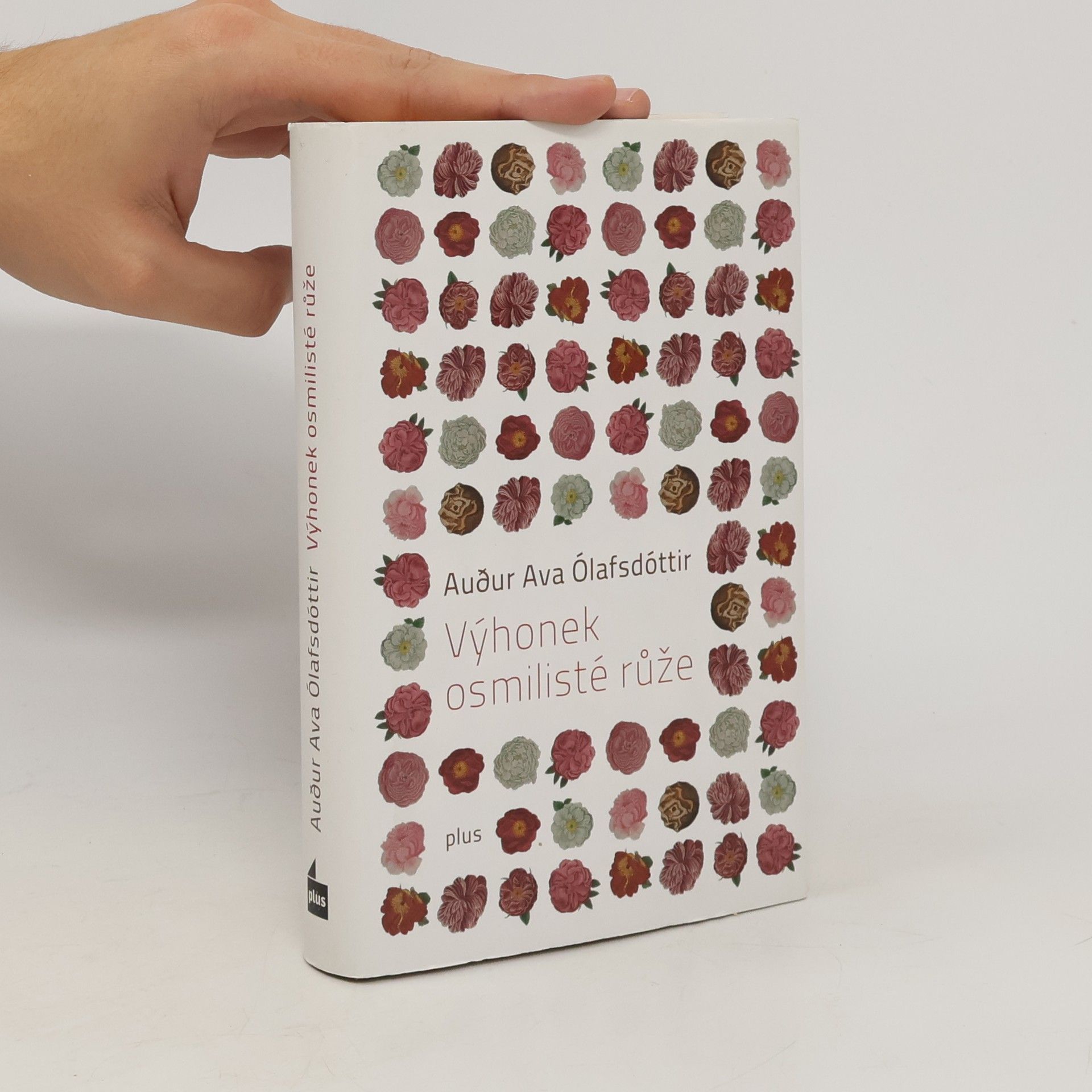Auður Ava Ólafsdóttir Výhonek osmilisté růže