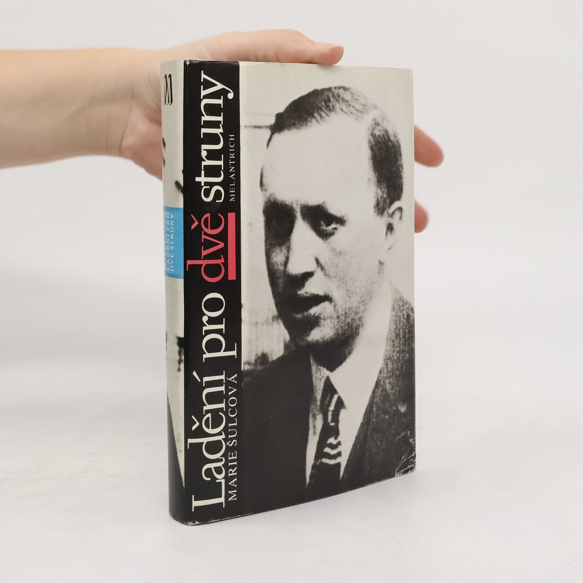 Marie Šulcová Ladění pro dvě struny