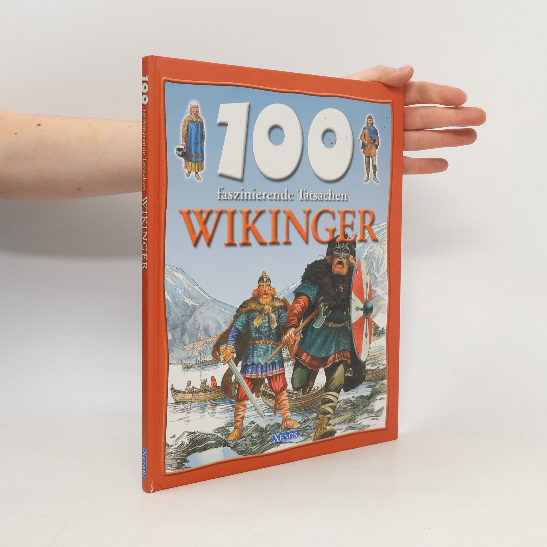 Fiona Macdonald Wikinger