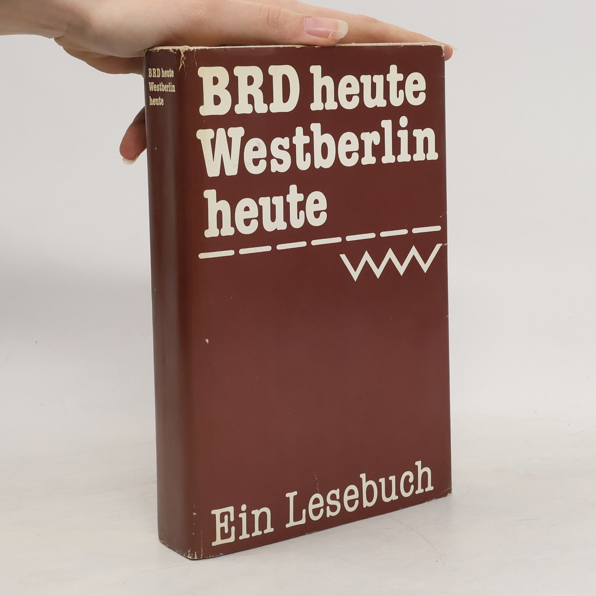Christlieb Hirte BRD heute. Westberlin heute. Ein Lesebuch