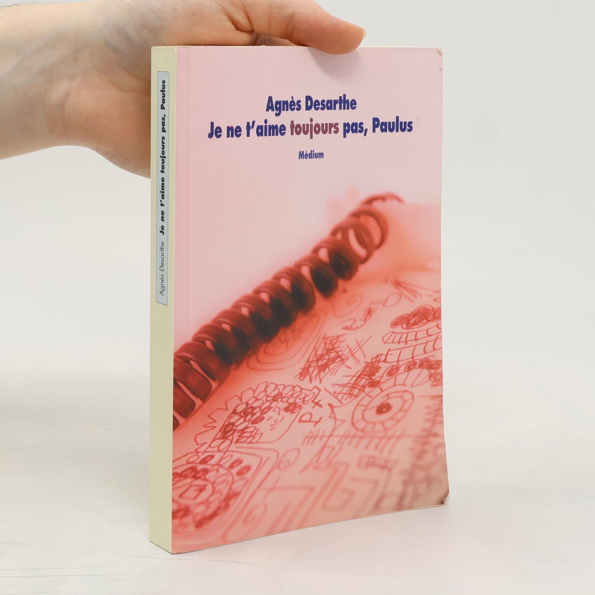 Agnes Desarthe Je ne t'aime toujours pas, Paulus