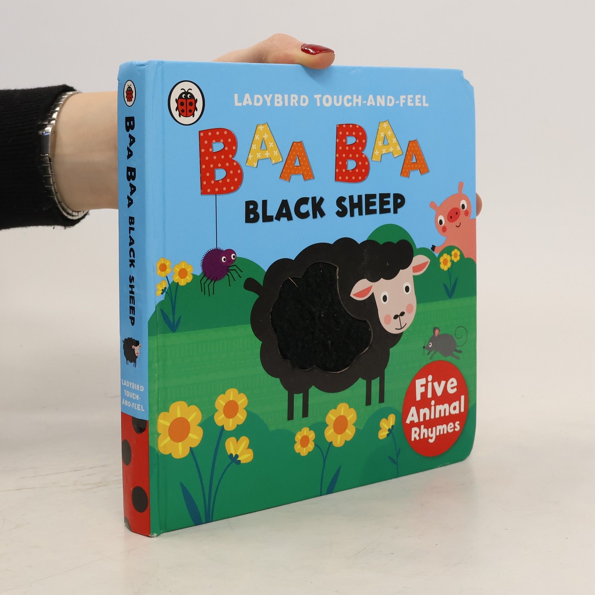 Autorenkollektiv Baa Baa Black Sheep