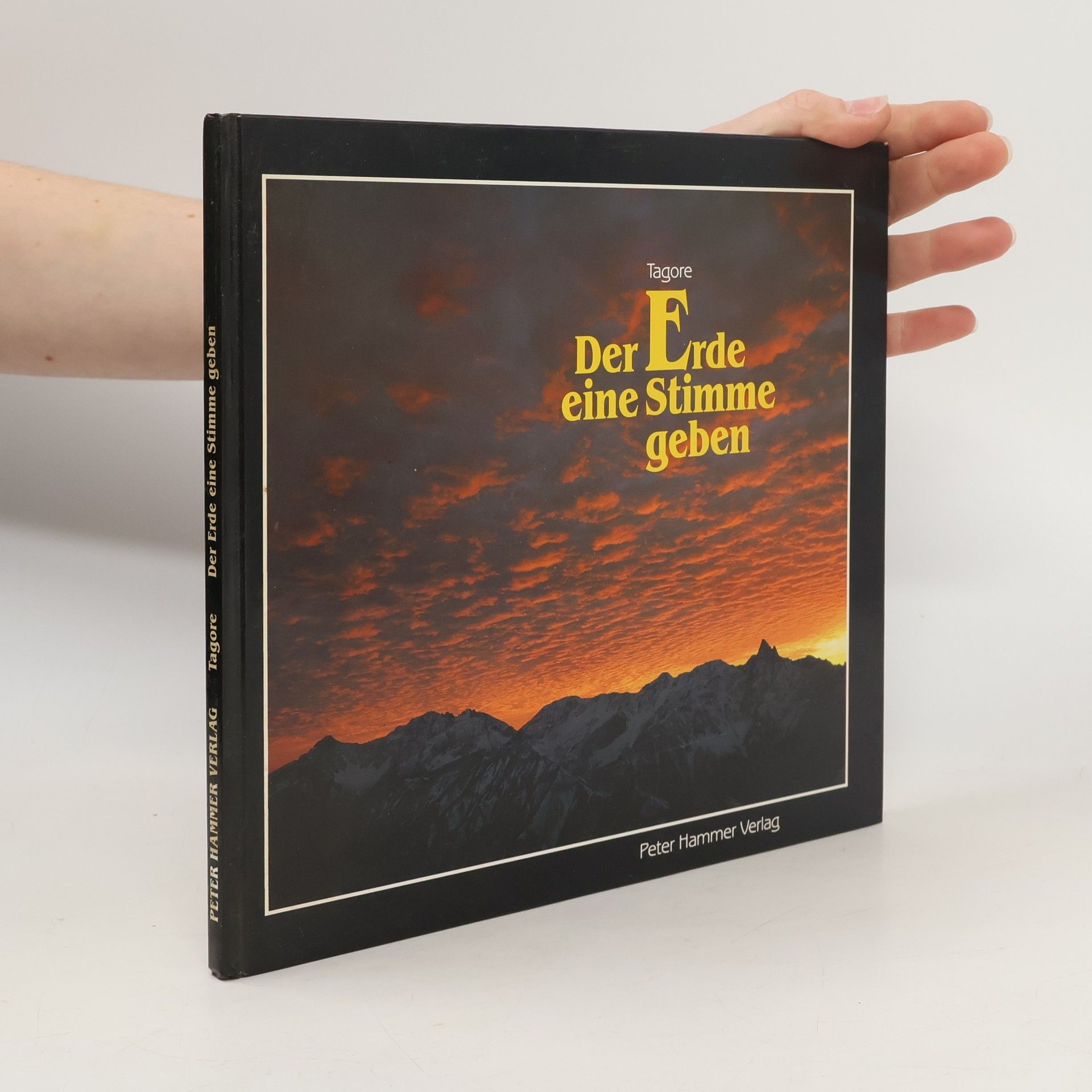 Rabíndranáth Thákur Der Erde eine Stimme geben