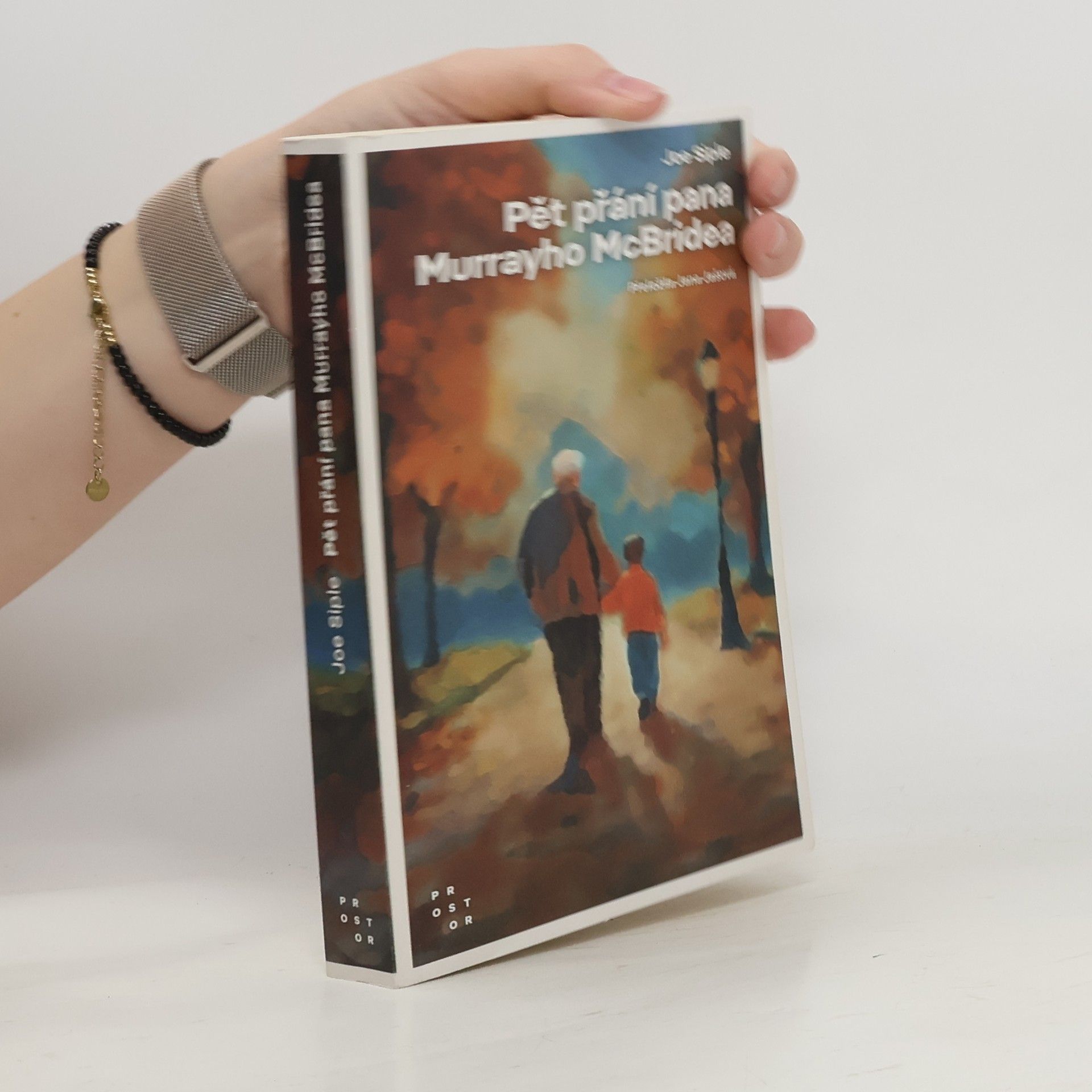 Joe Siple Pět přání pana Murrayho McBridea