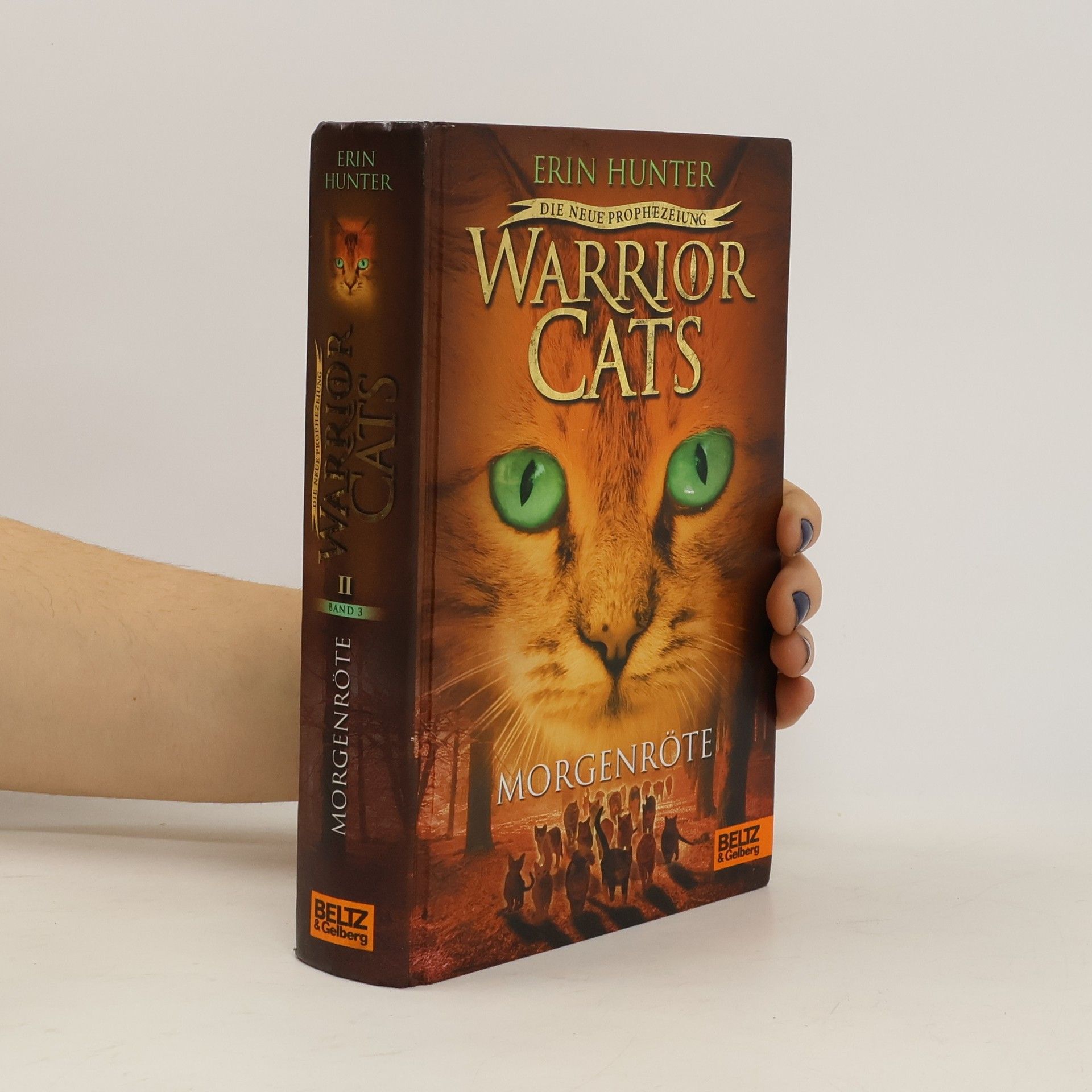 Erin Hunter Warrior Cats - Morgenröte