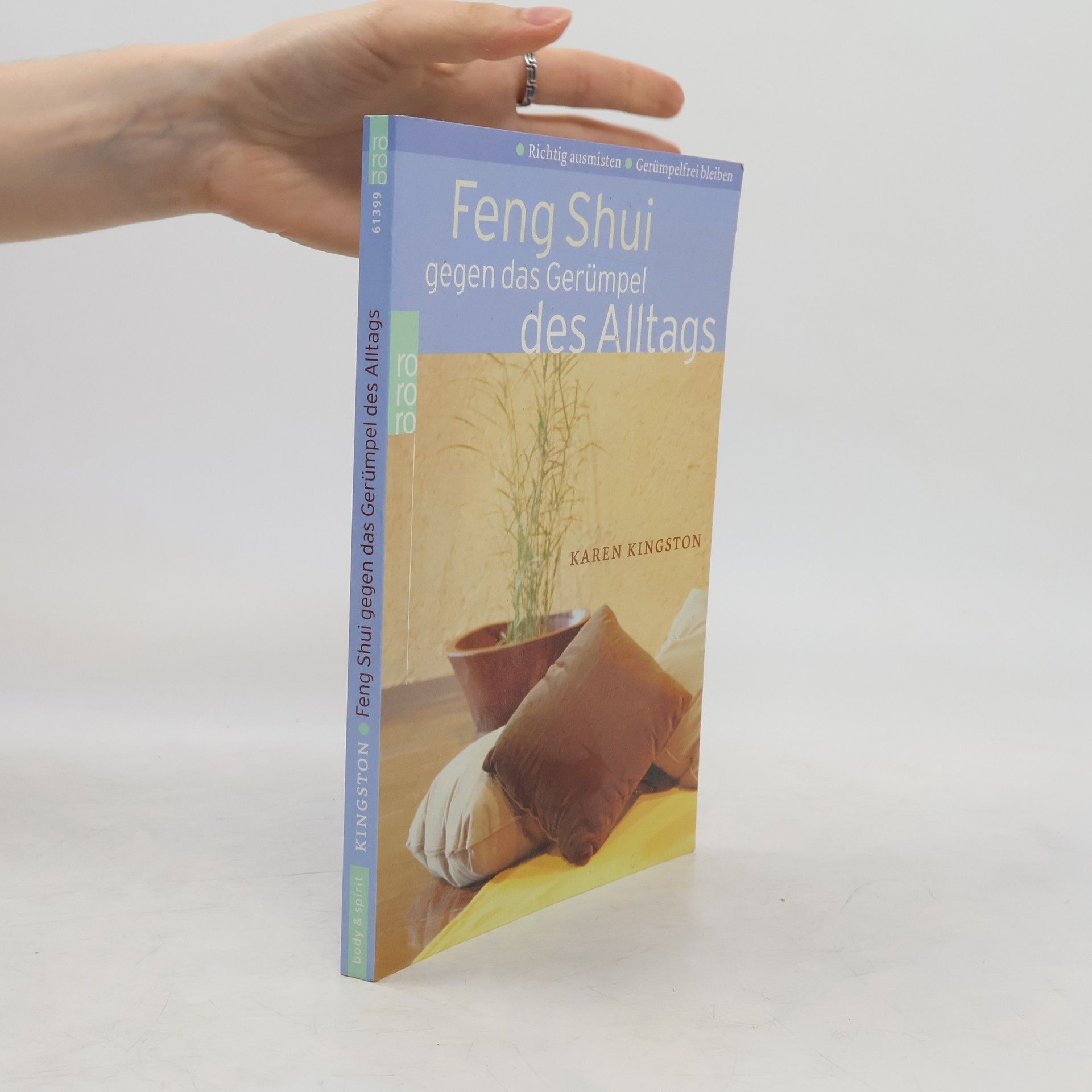 Karen Kingston Feng shui