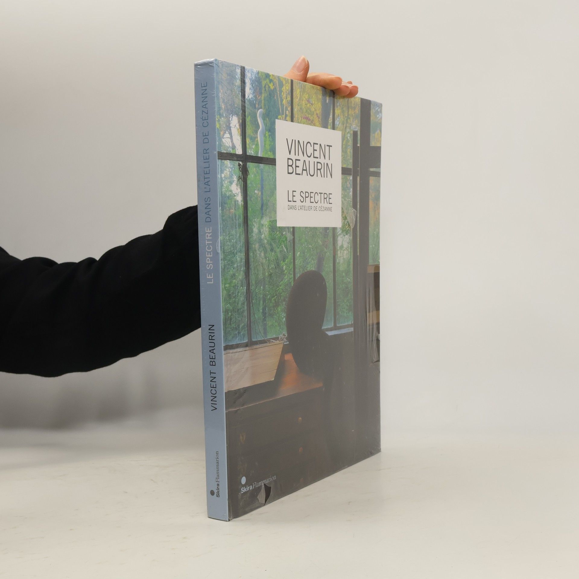 Vincent Beaurin Vincent Beaurin