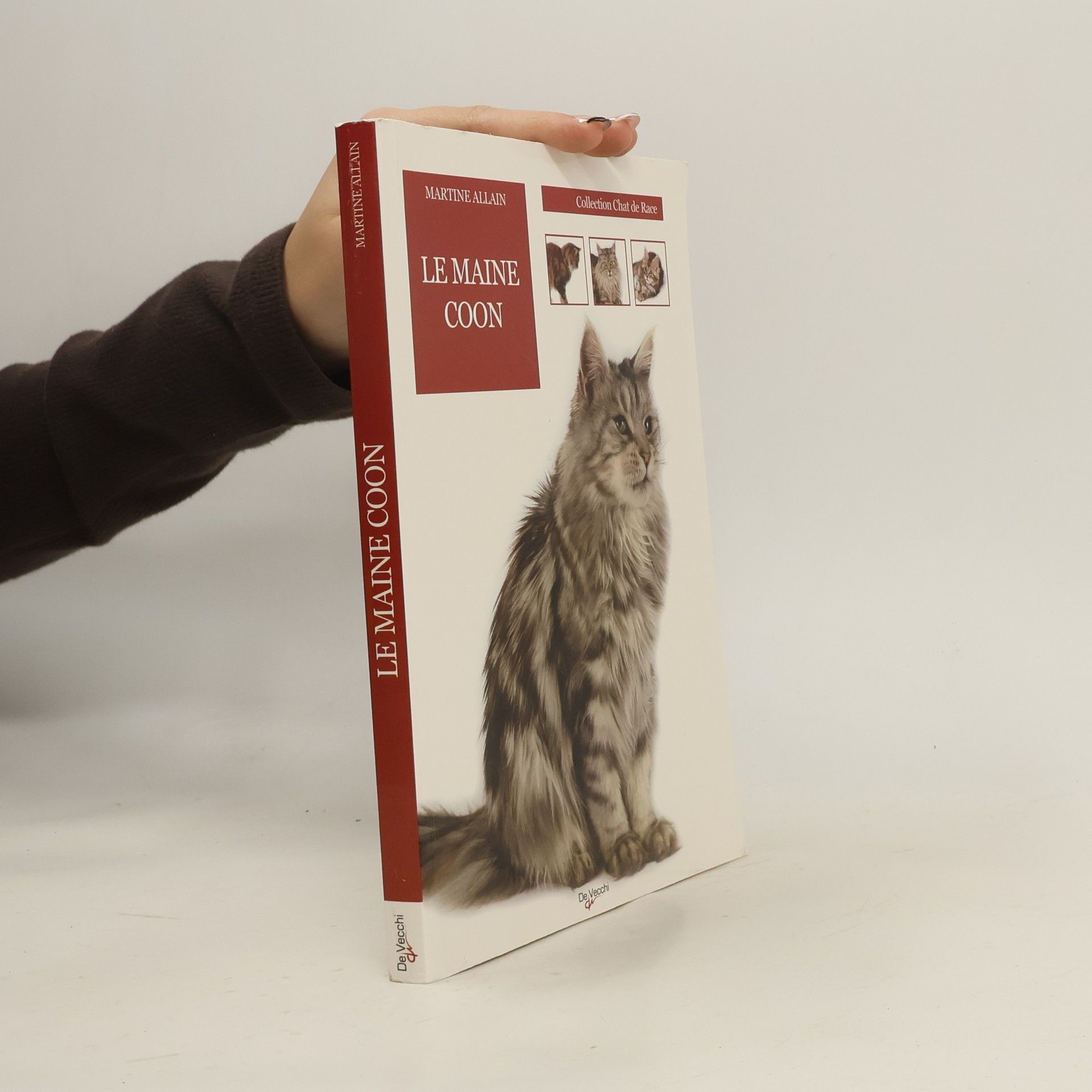 Martine Allain Le maine coon